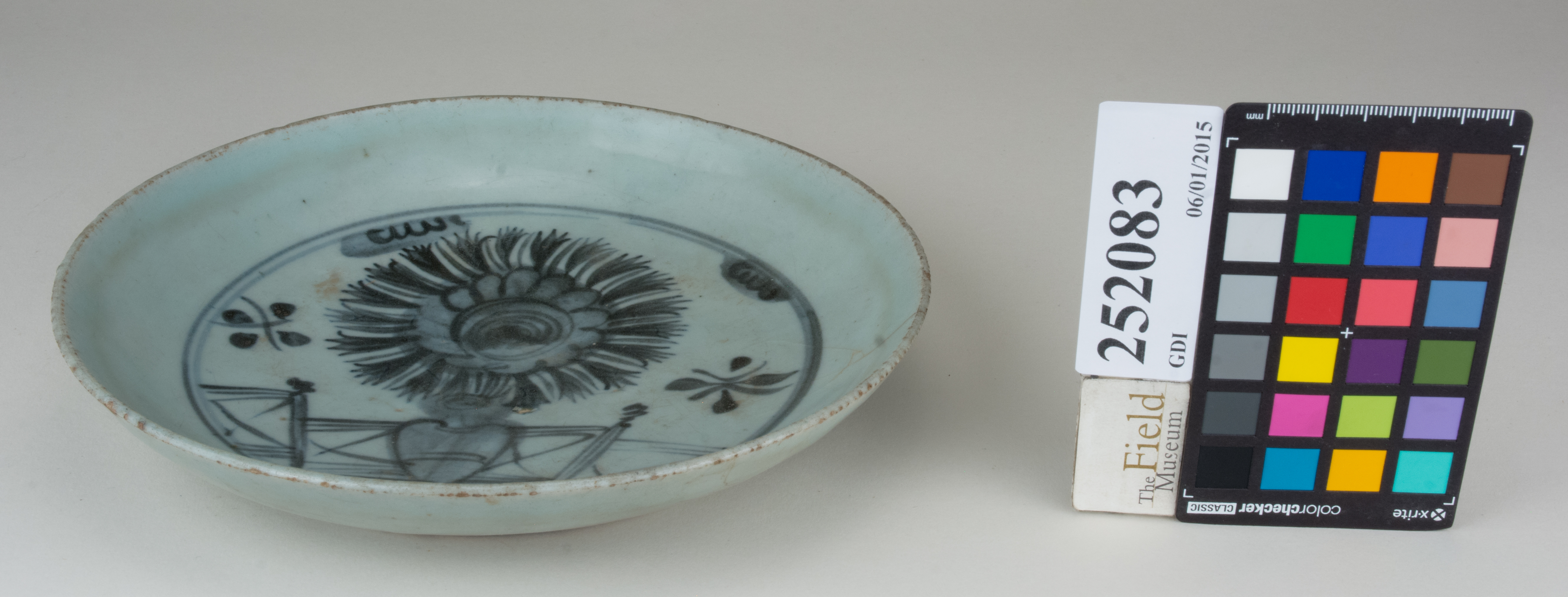 FrontAngle (c) Field Museum of Natural History - CC BY-NC 4.0