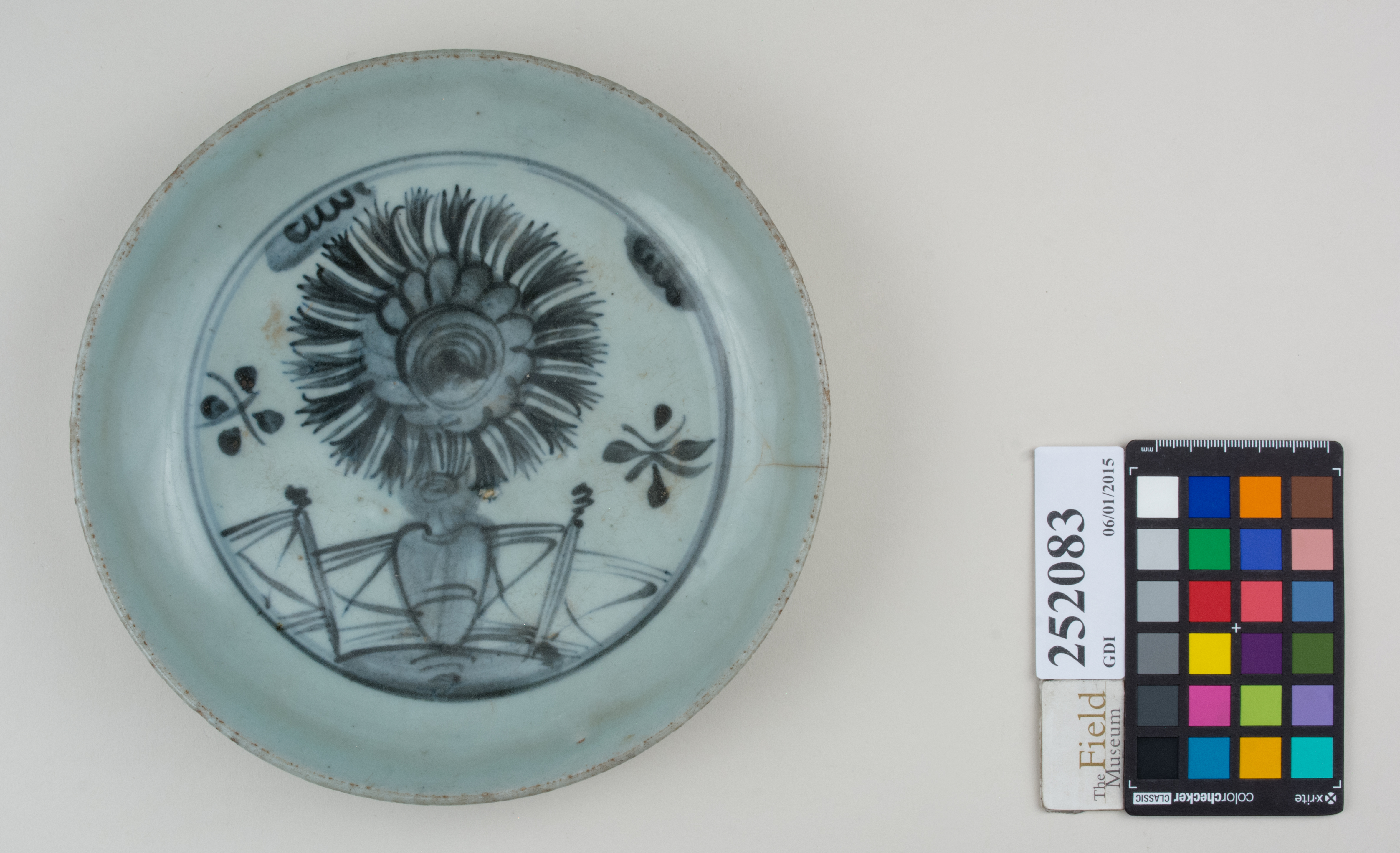 Top (c) Field Museum of Natural History - CC BY-NC 4.0