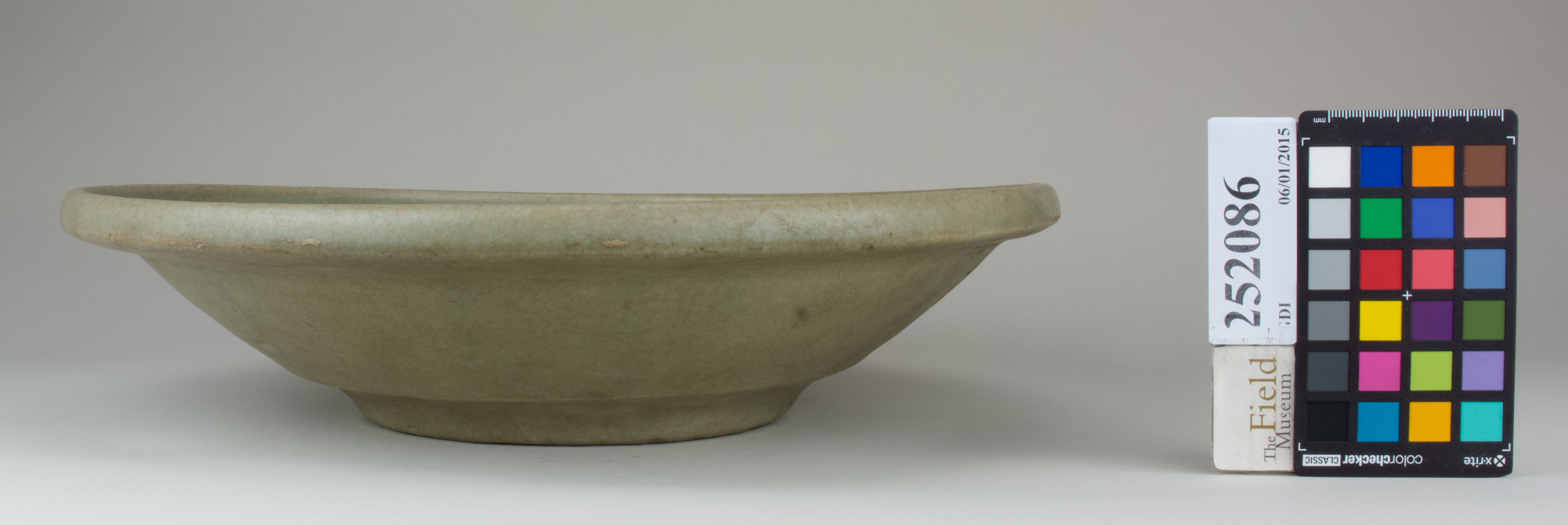 reference image, back (c) Field Museum of Natural History - CC BY-NC 4.0