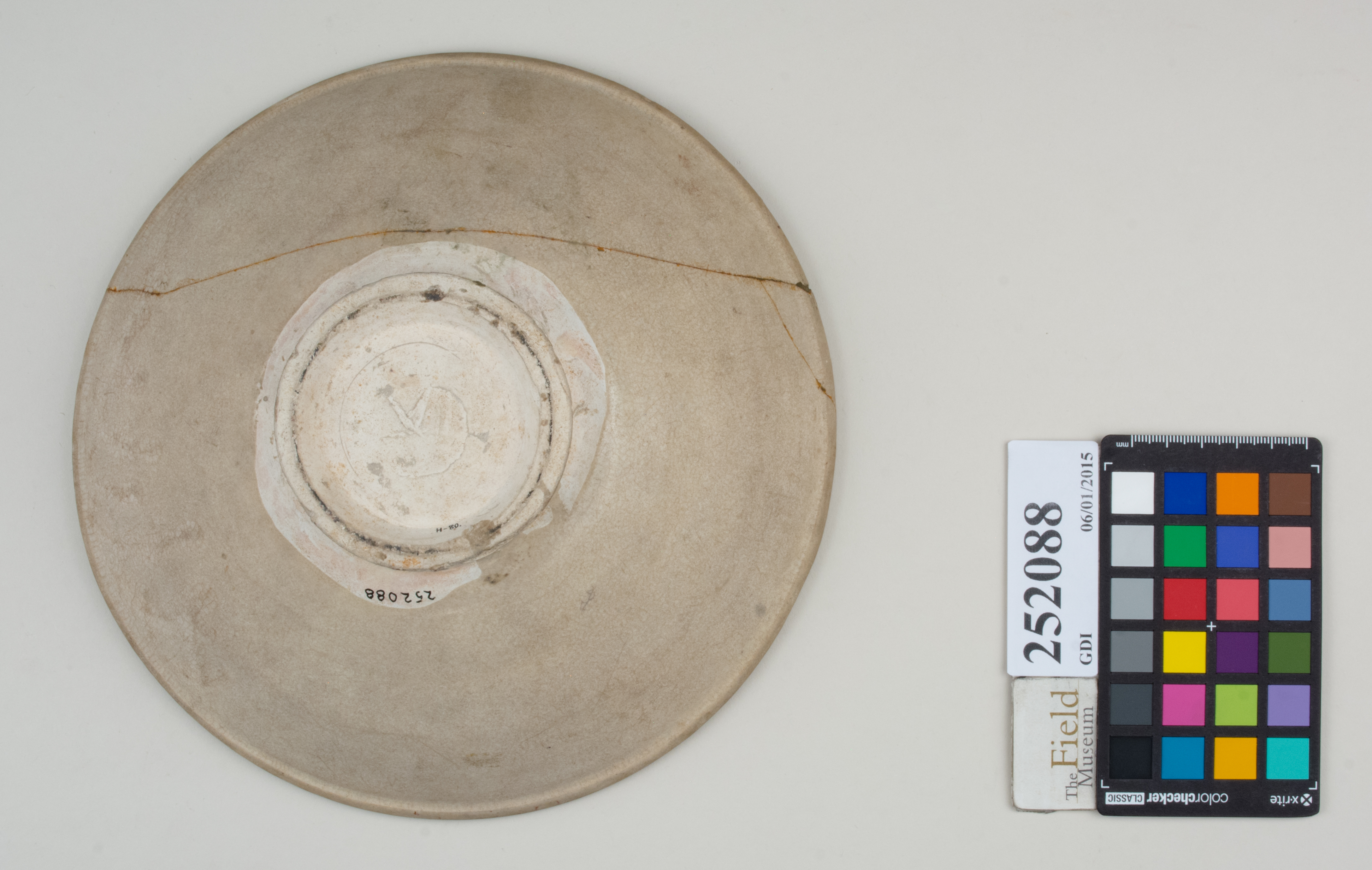 Bottom (c) Field Museum of Natural History - CC BY-NC 4.0