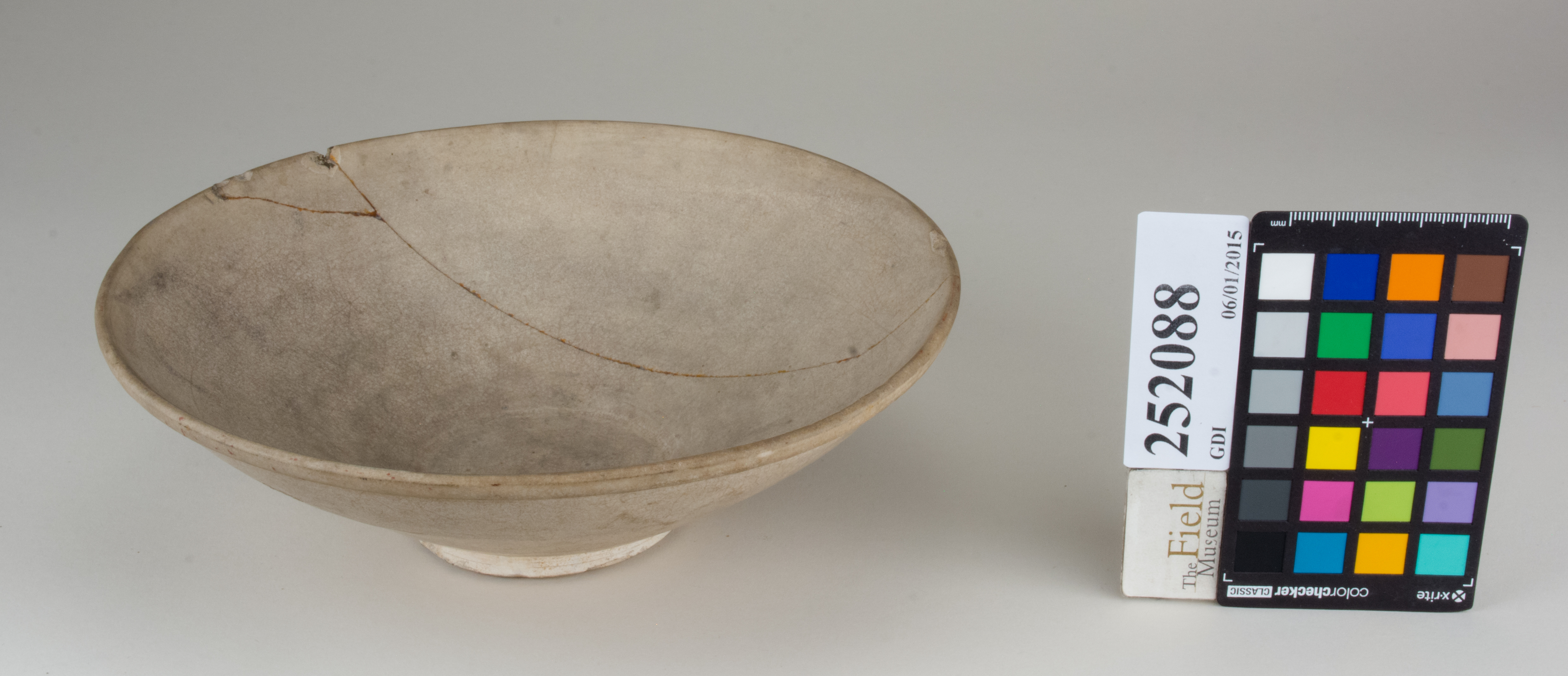 FrontAngle (c) Field Museum of Natural History - CC BY-NC 4.0