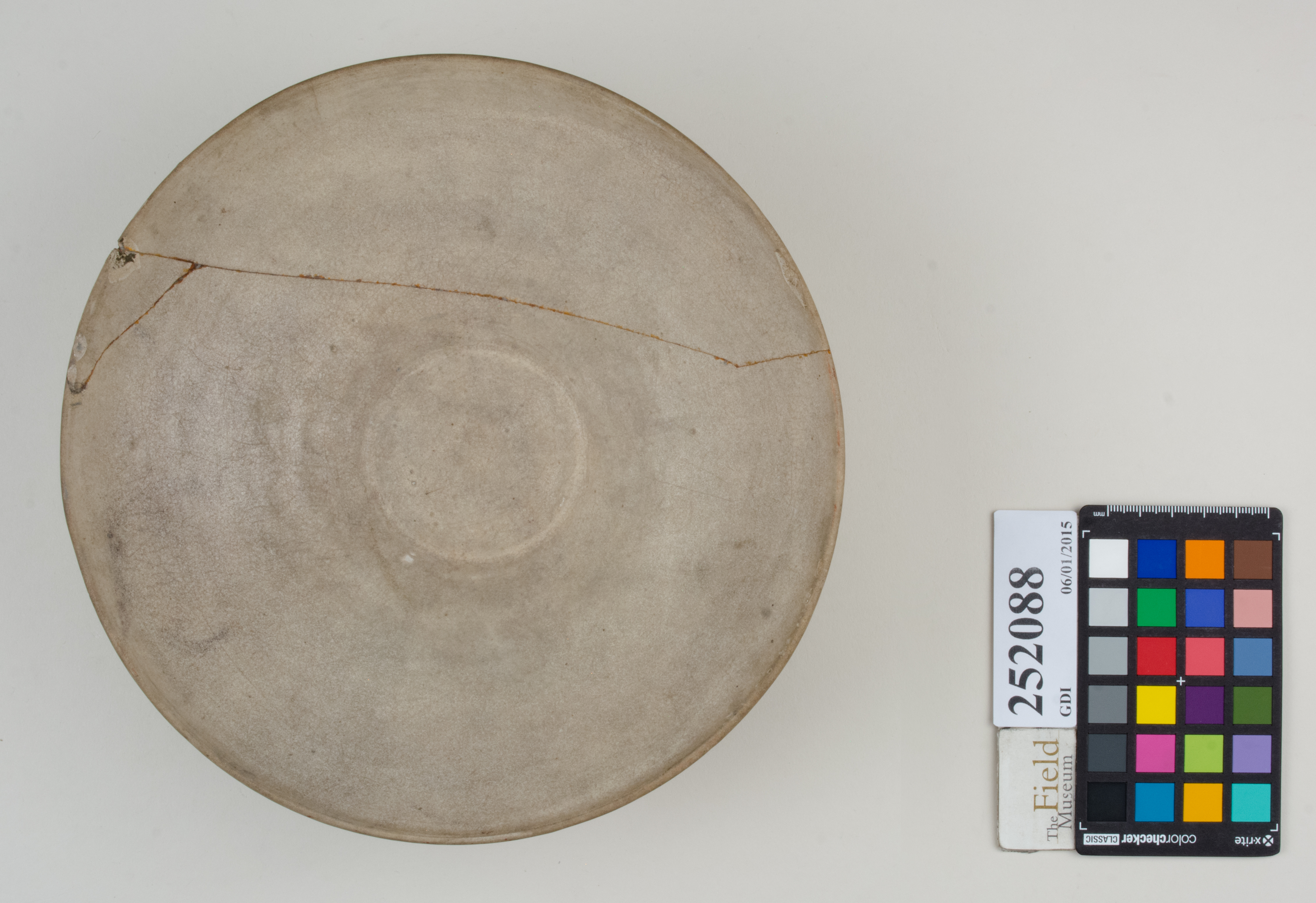 Top (c) Field Museum of Natural History - CC BY-NC 4.0