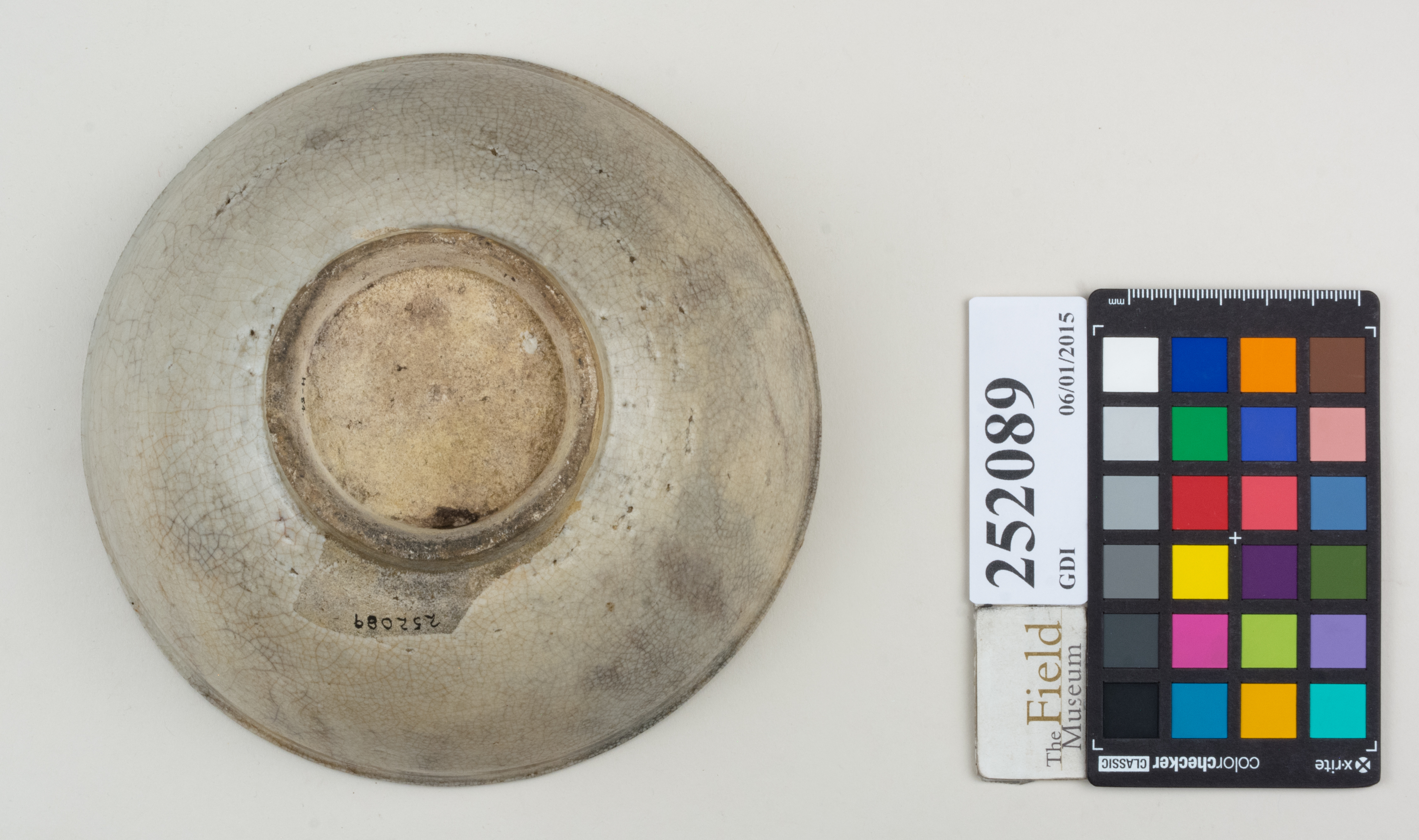 Bottom (c) Field Museum of Natural History - CC BY-NC 4.0