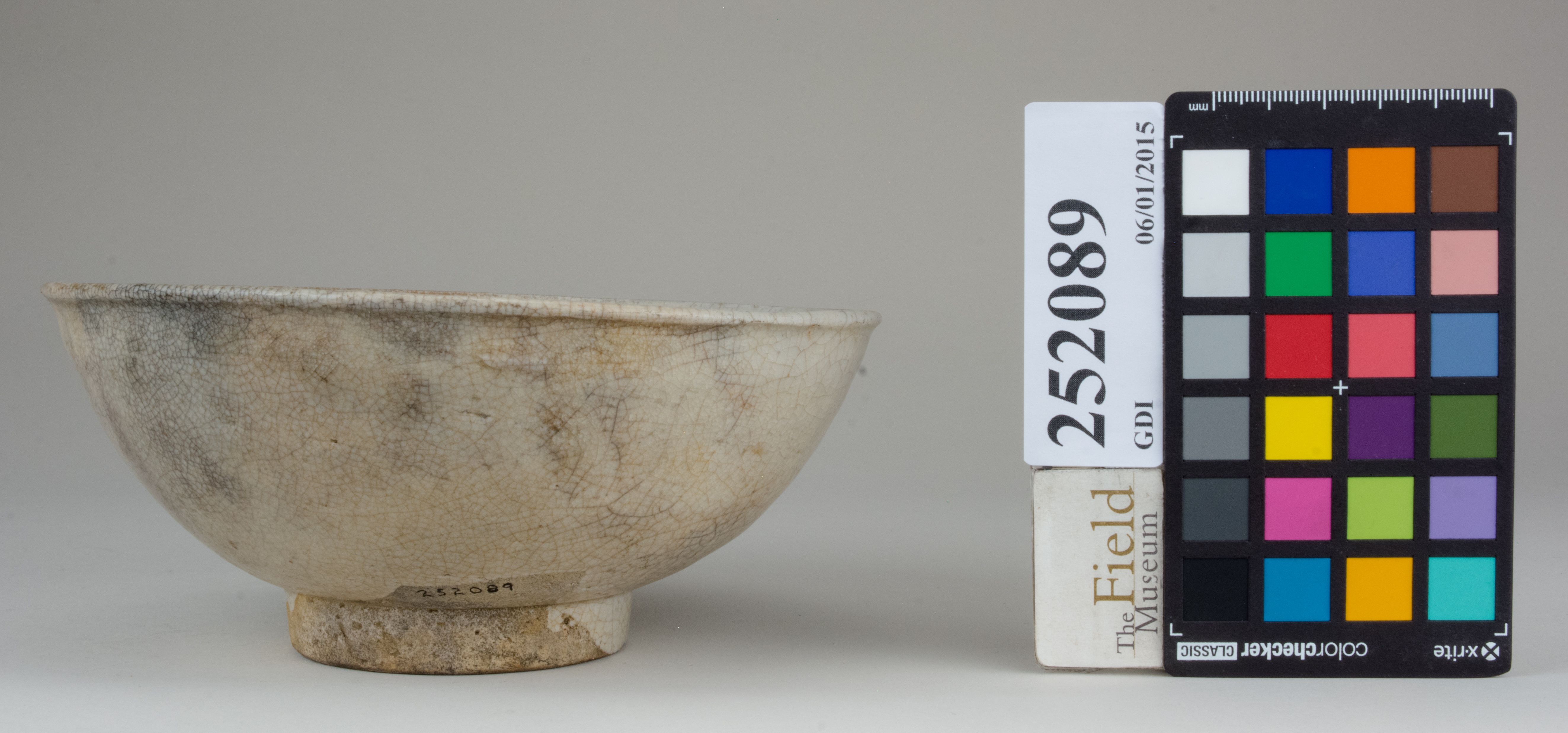 Front (c) Field Museum of Natural History - CC BY-NC 4.0