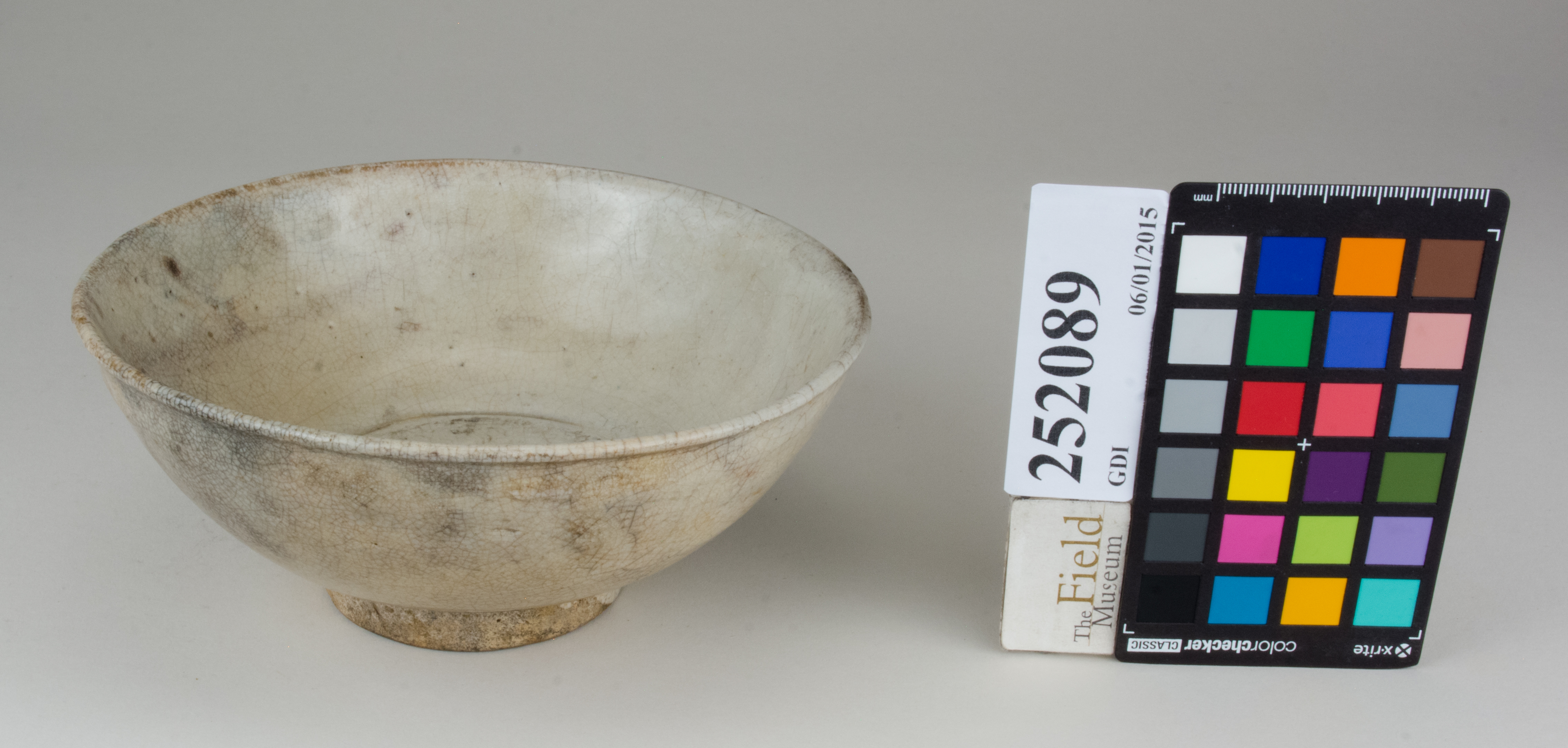 FrontAngle (c) Field Museum of Natural History - CC BY-NC 4.0