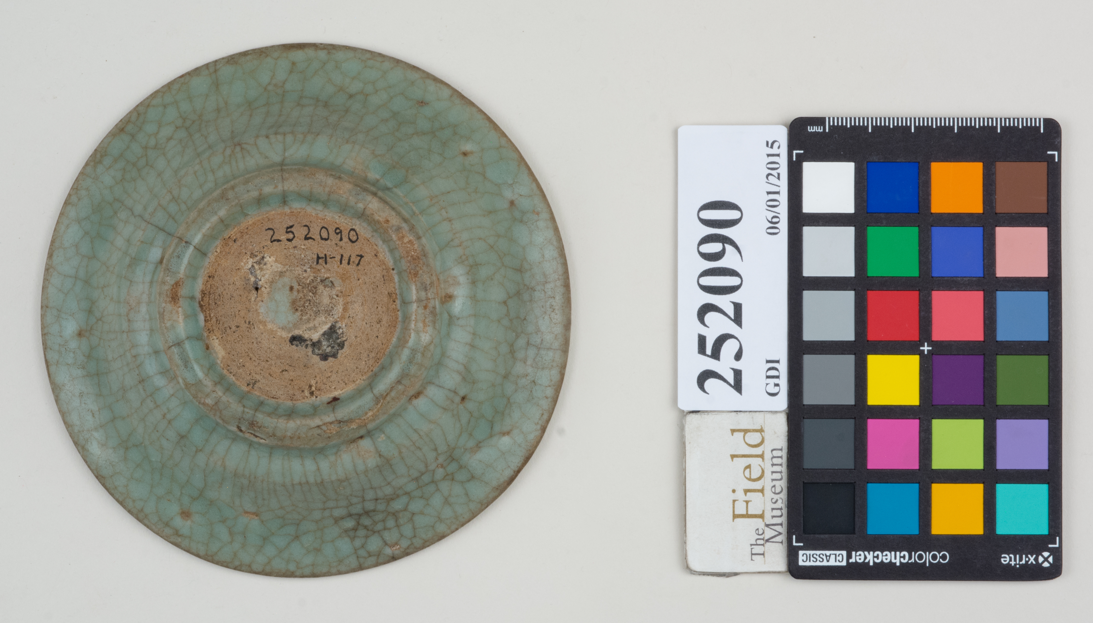 Bottom (c) Field Museum of Natural History - CC BY-NC 4.0