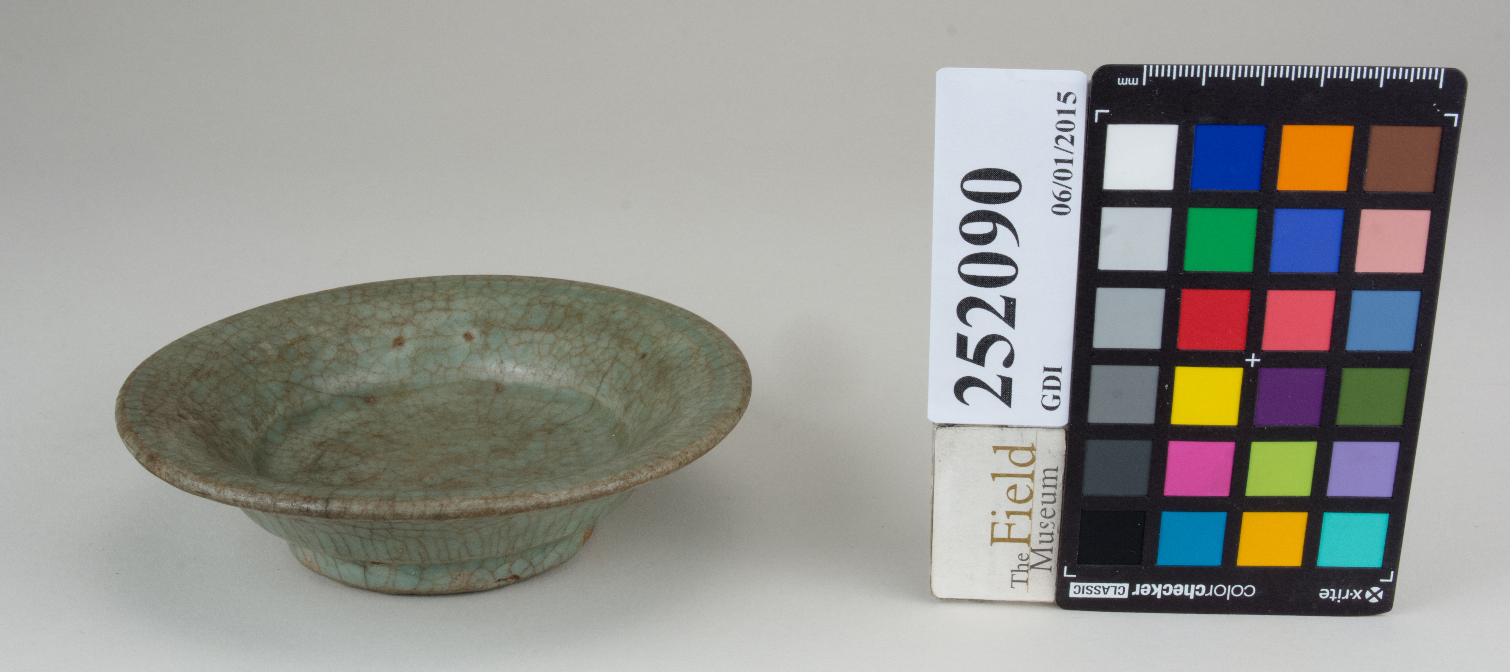 FrontAngle (c) Field Museum of Natural History - CC BY-NC 4.0