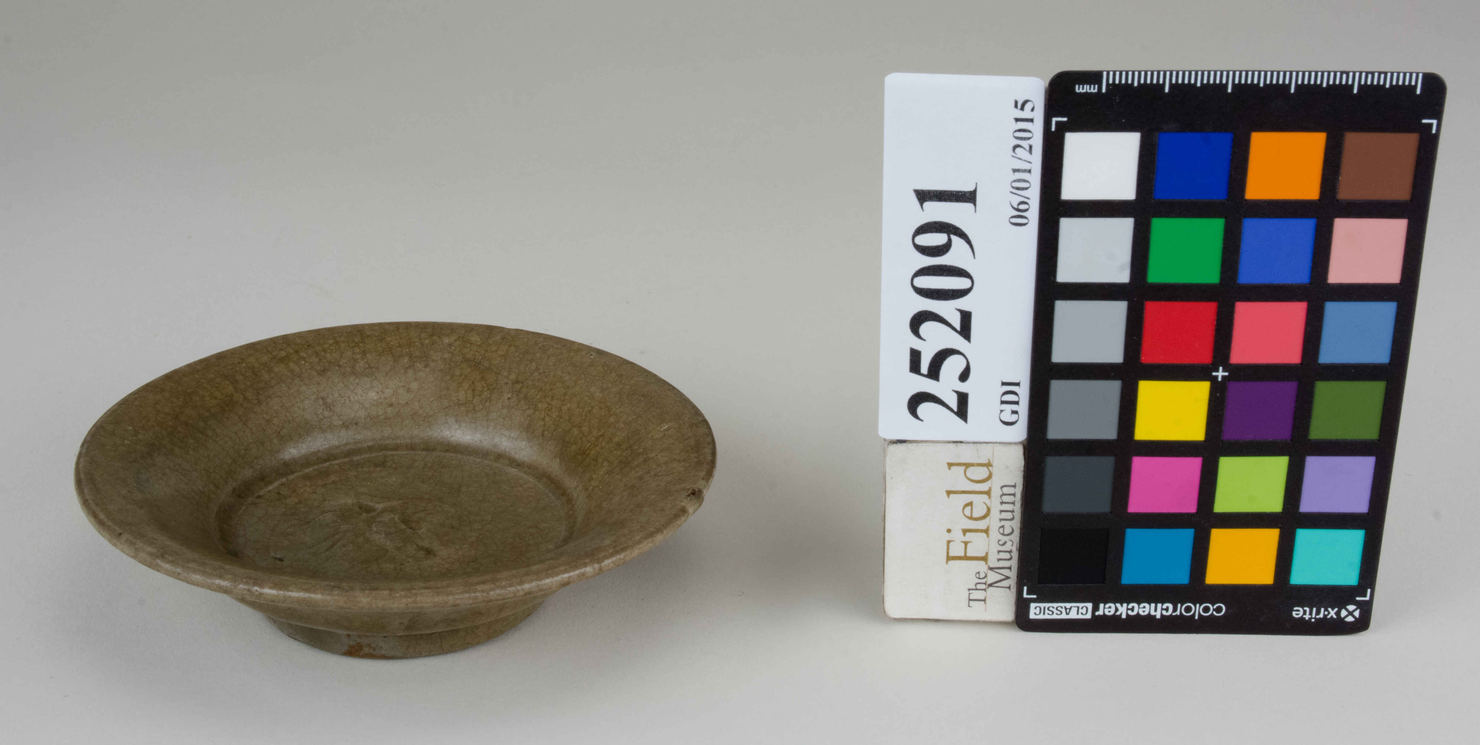 FrontAngle (c) Field Museum of Natural History - CC BY-NC 4.0