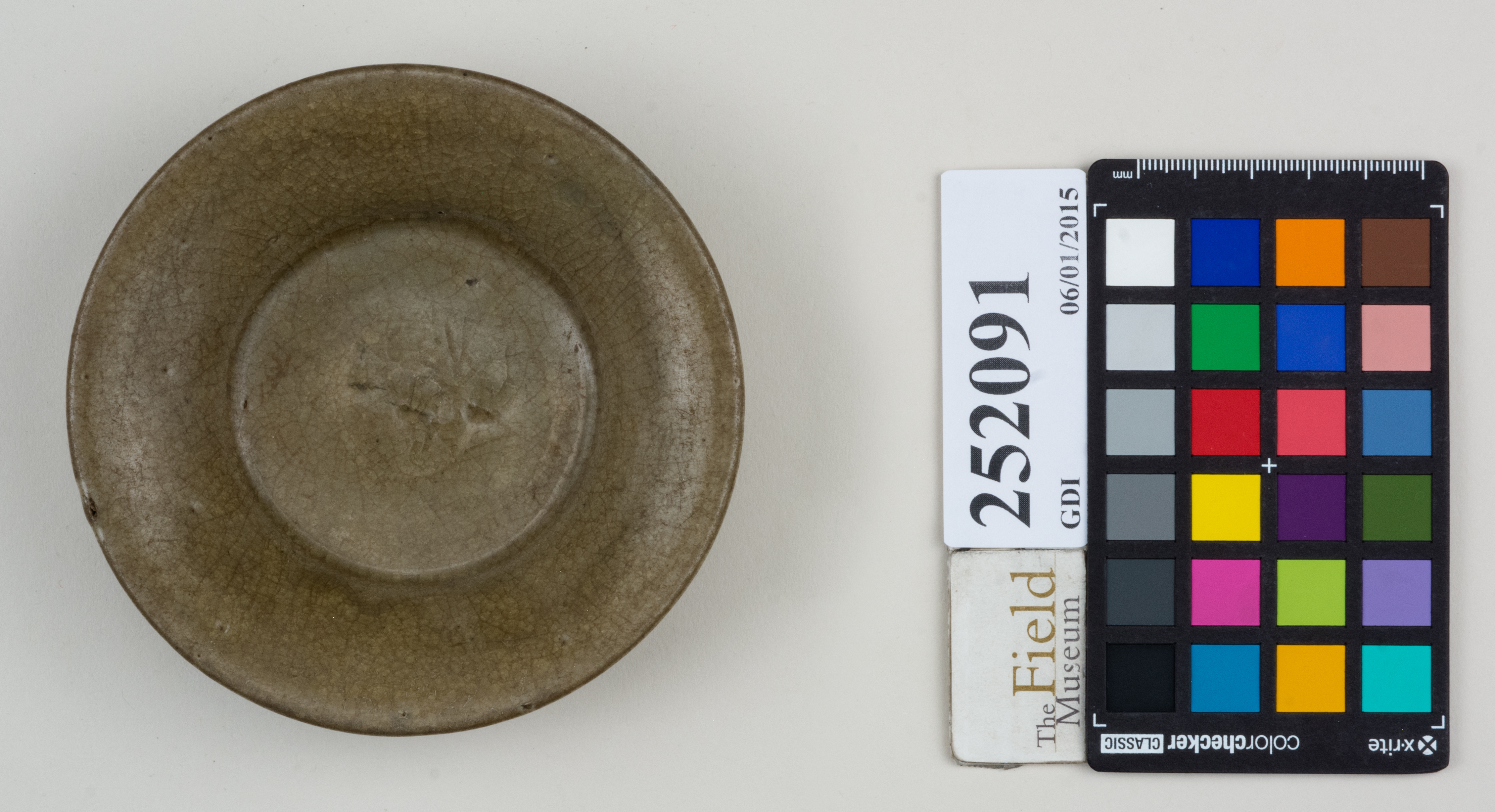 Top (c) Field Museum of Natural History - CC BY-NC 4.0