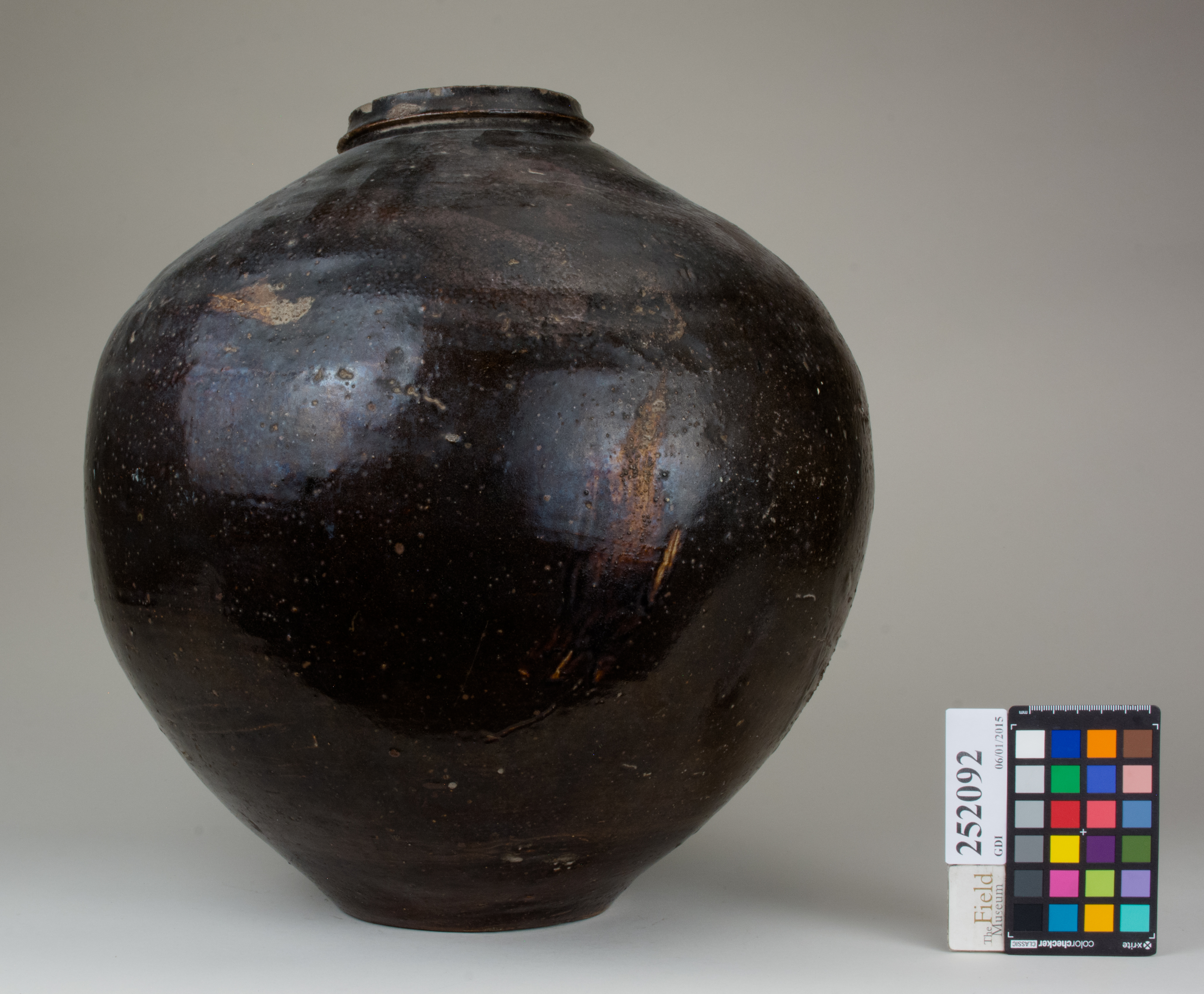 reference image, back (c) Field Museum of Natural History - CC BY-NC 4.0