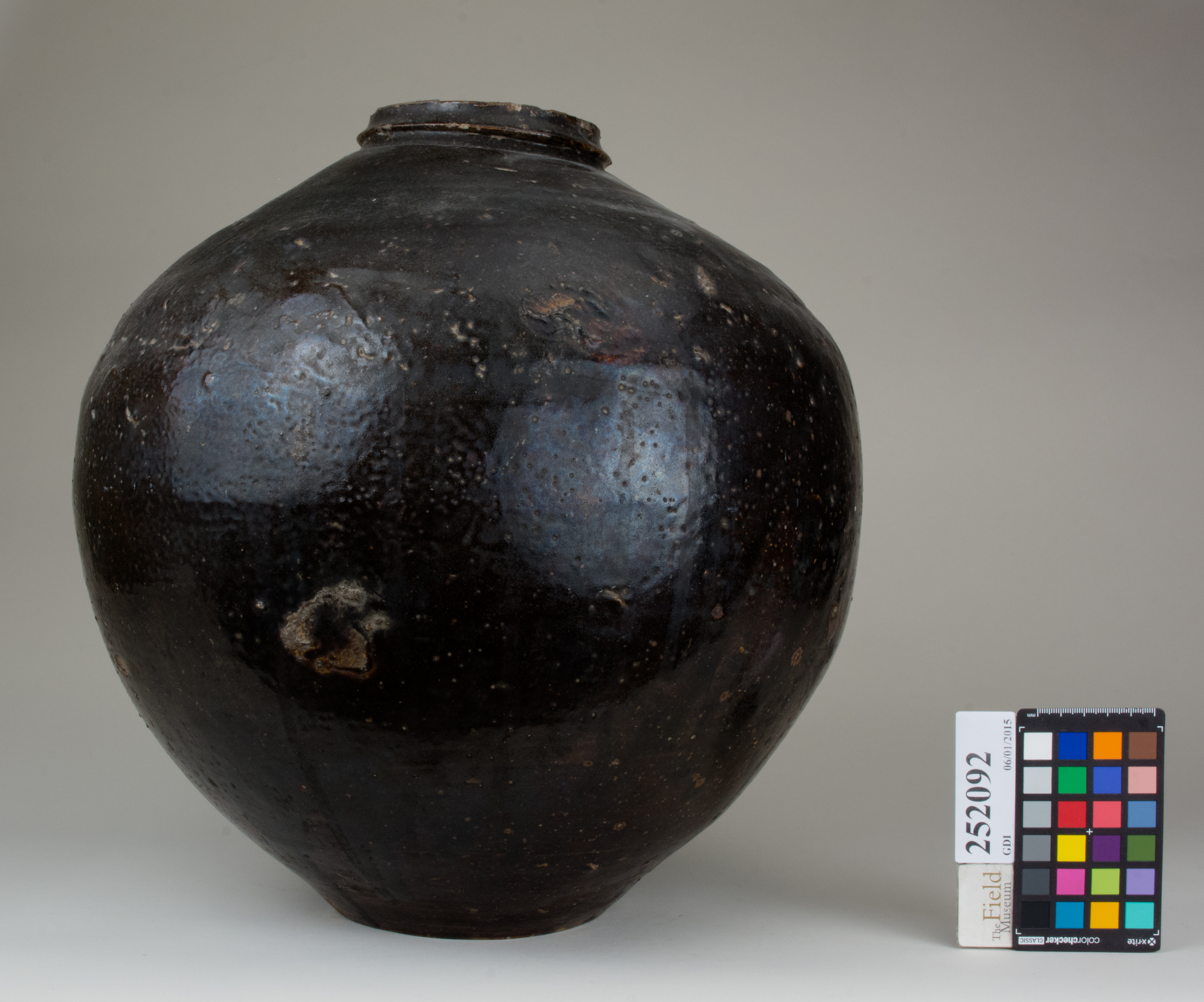 Front (c) Field Museum of Natural History - CC BY-NC 4.0