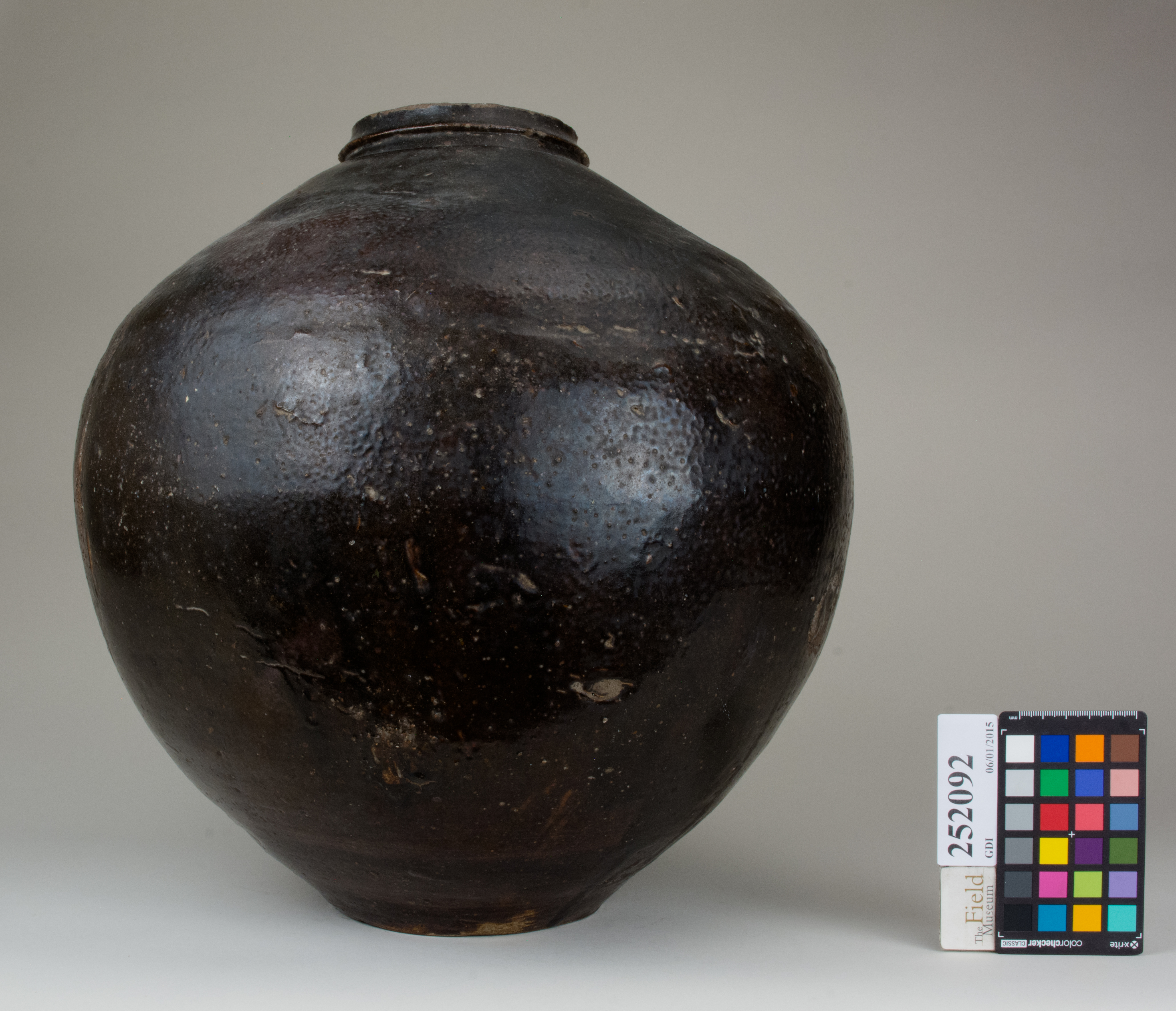 Right (c) Field Museum of Natural History - CC BY-NC 4.0