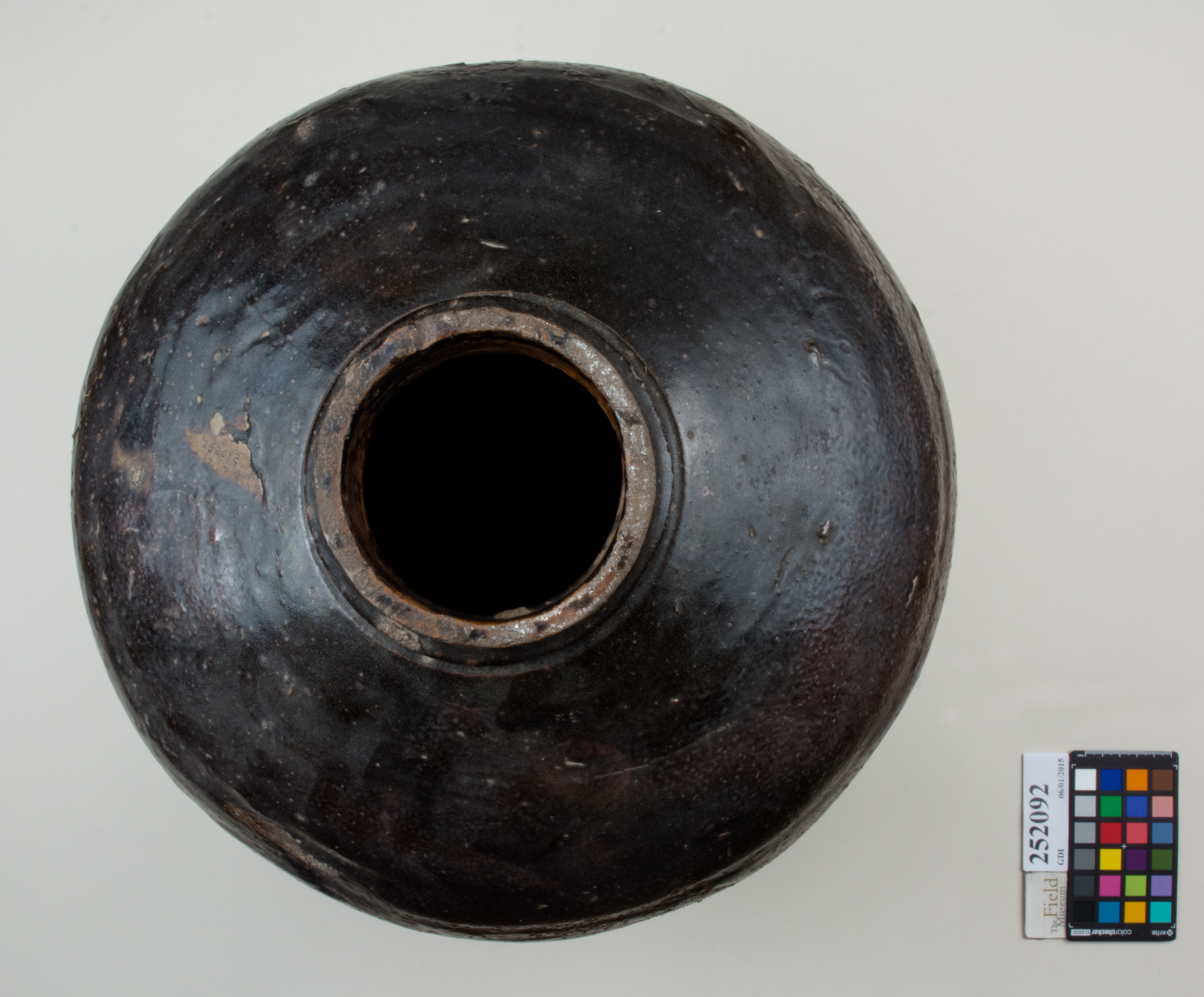 Top (c) Field Museum of Natural History - CC BY-NC 4.0