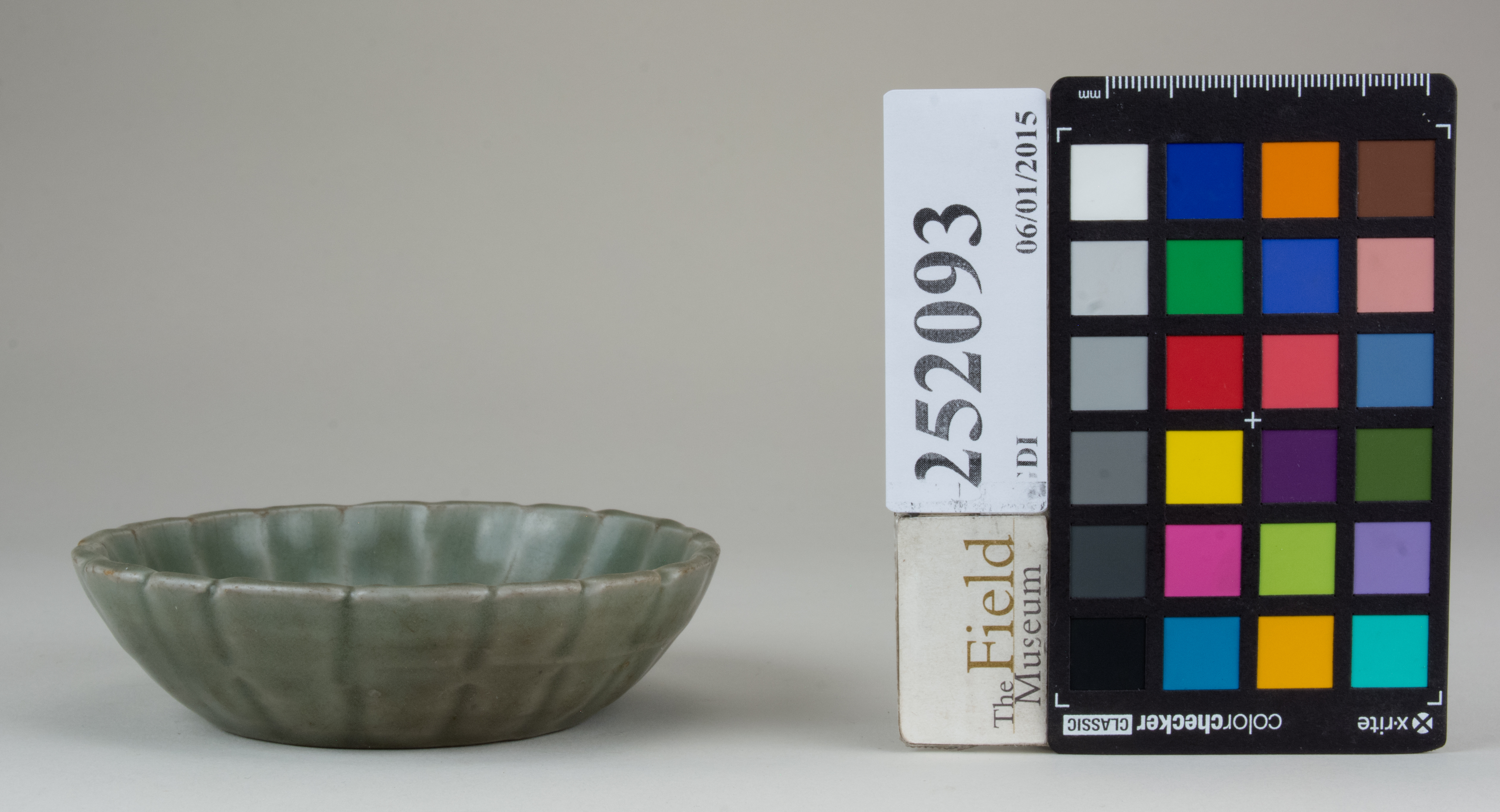 reference image, back (c) Field Museum of Natural History - CC BY-NC 4.0