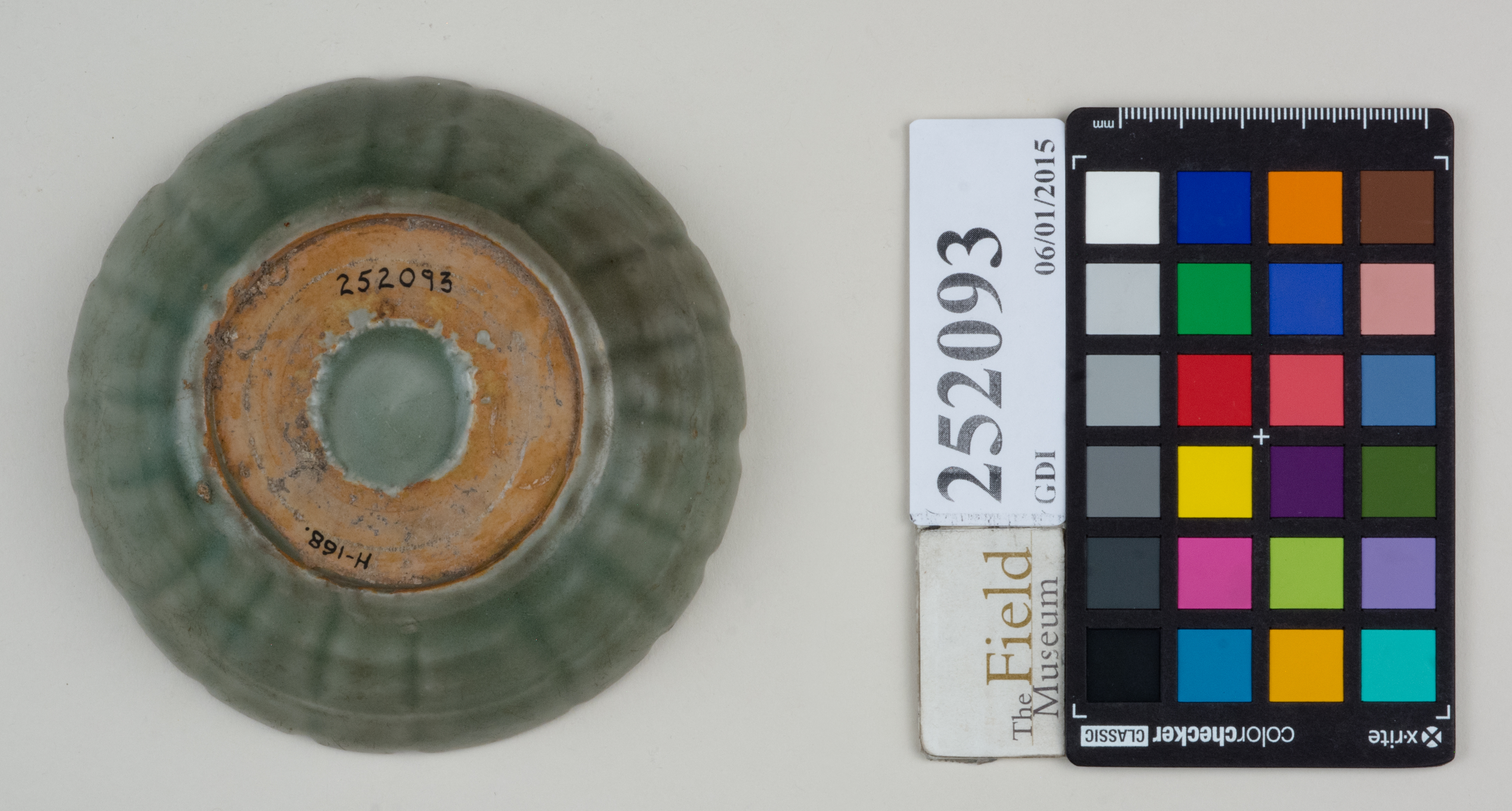 Bottom (c) Field Museum of Natural History - CC BY-NC 4.0