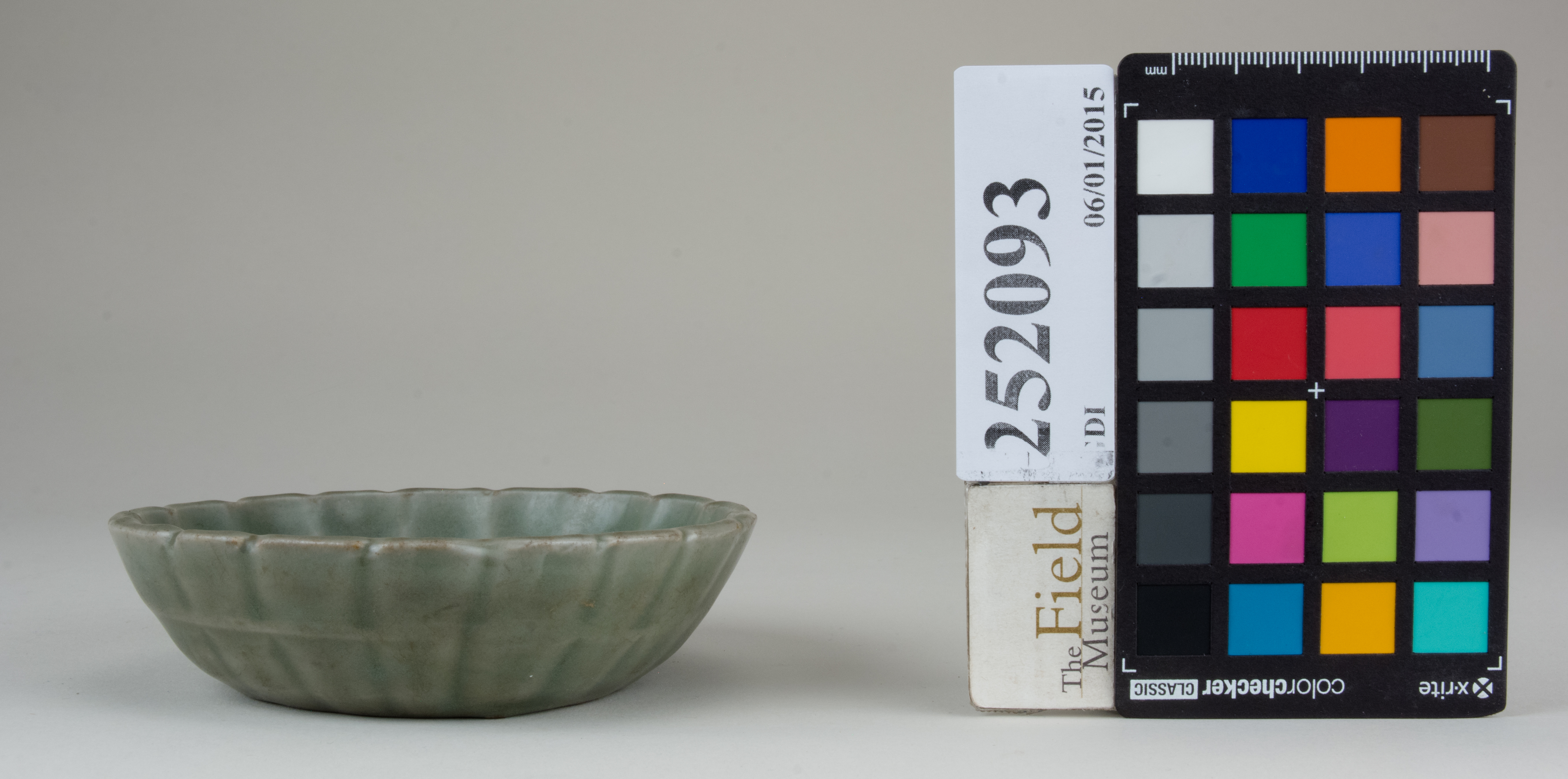 Front (c) Field Museum of Natural History - CC BY-NC 4.0