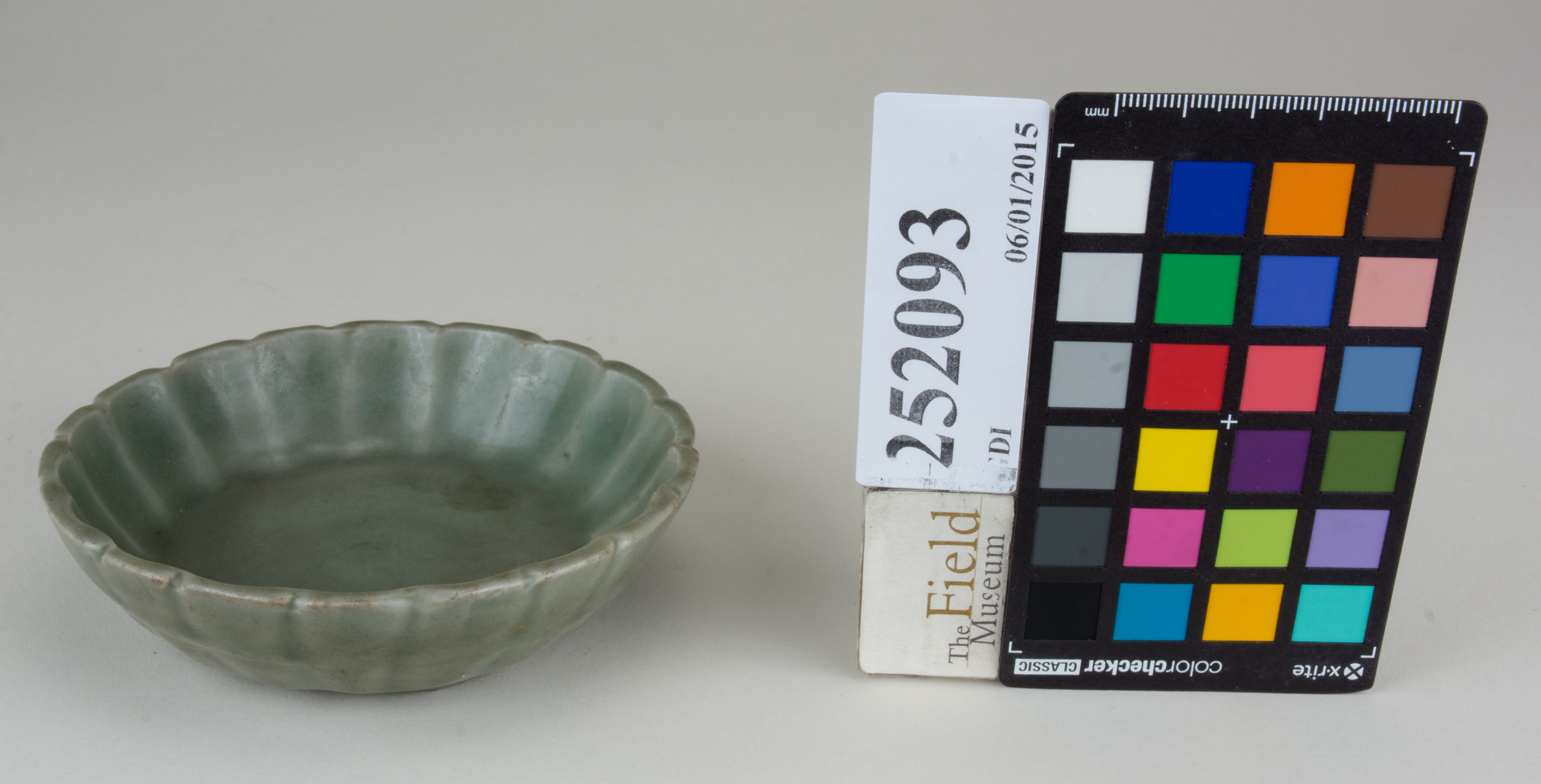 FrontAngle (c) Field Museum of Natural History - CC BY-NC 4.0