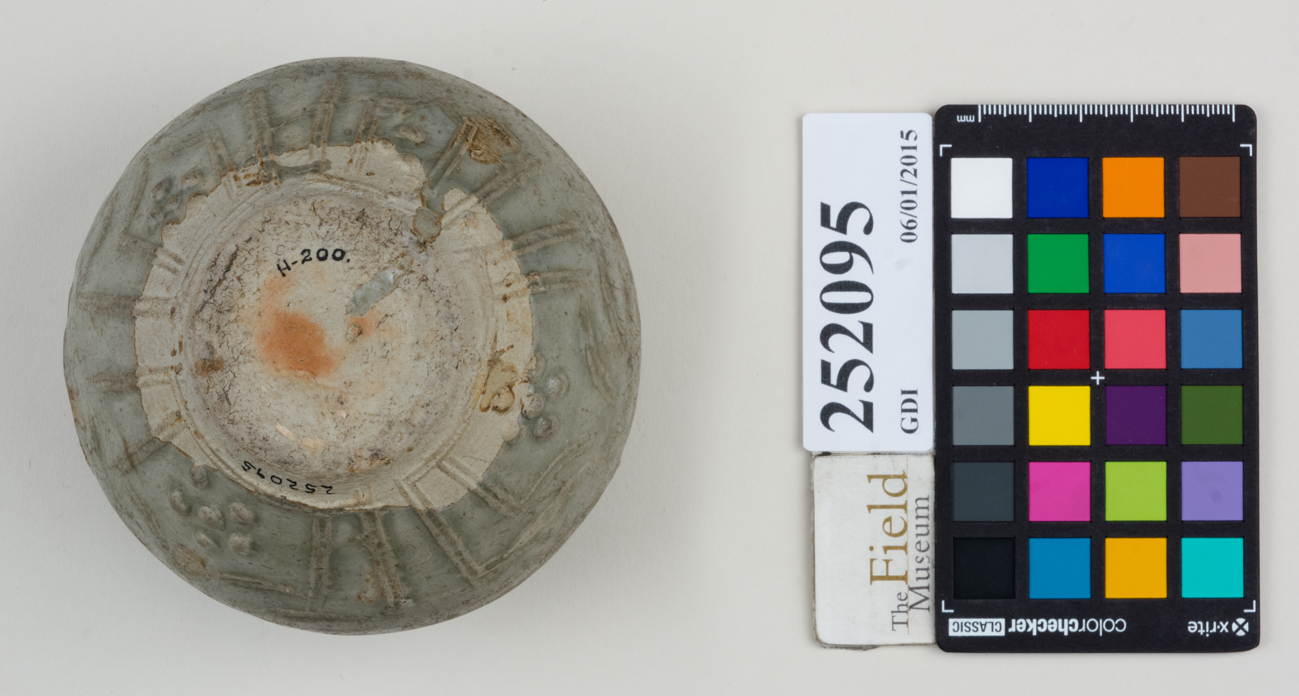 Bottom (c) Field Museum of Natural History - CC BY-NC 4.0