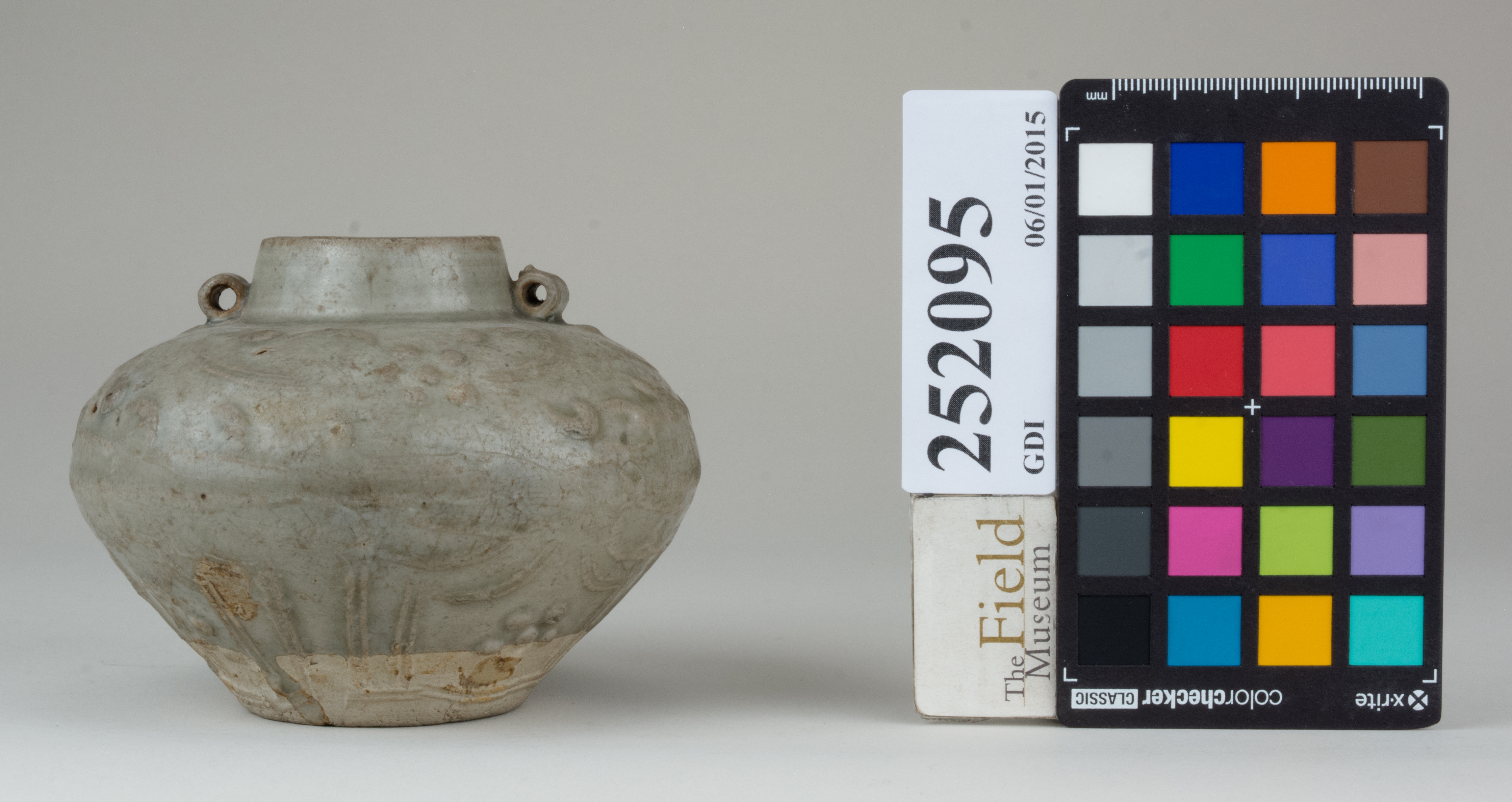 Front (c) Field Museum of Natural History - CC BY-NC 4.0