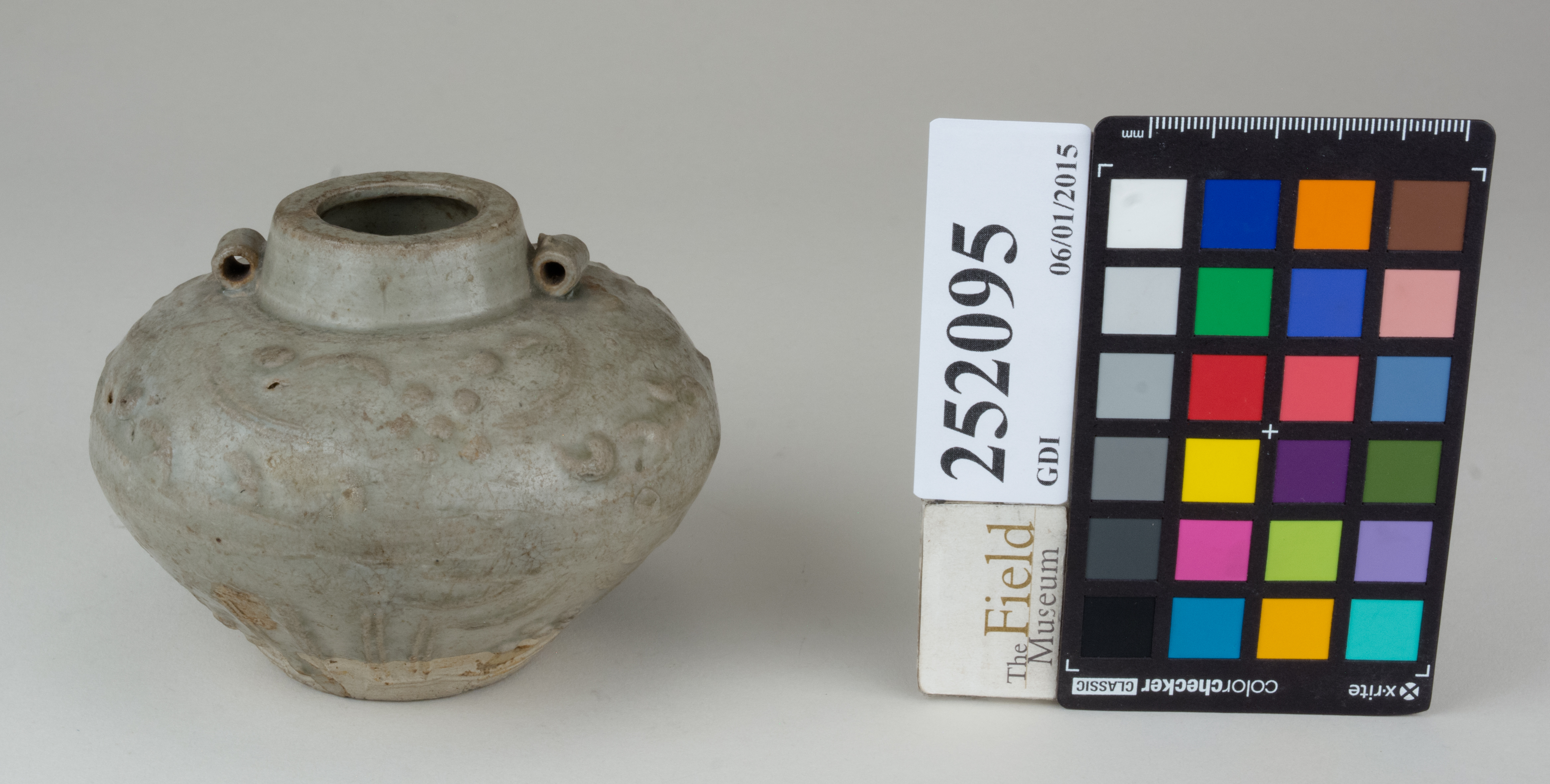 FrontAngle (c) Field Museum of Natural History - CC BY-NC 4.0