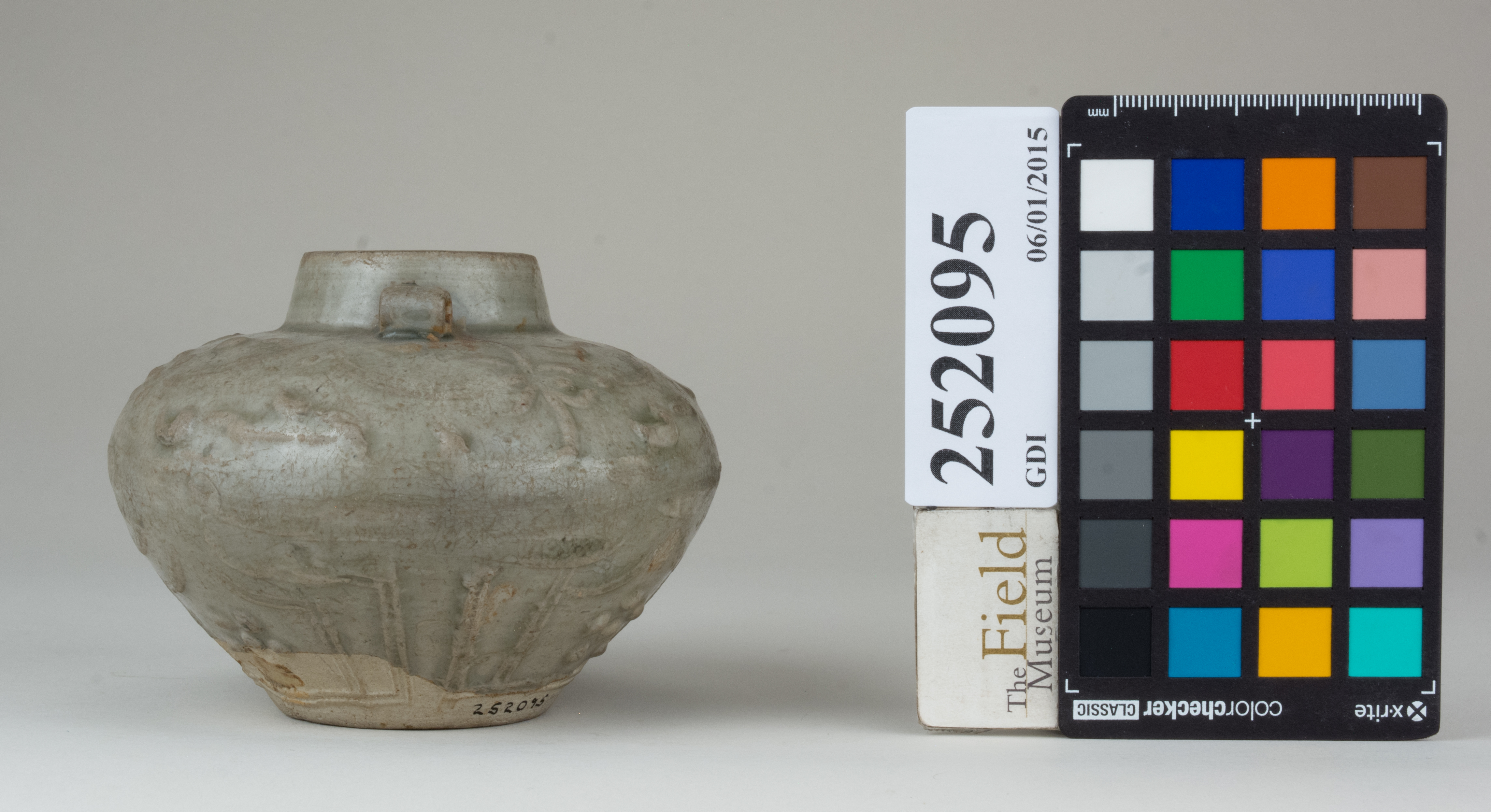 Left (c) Field Museum of Natural History - CC BY-NC 4.0