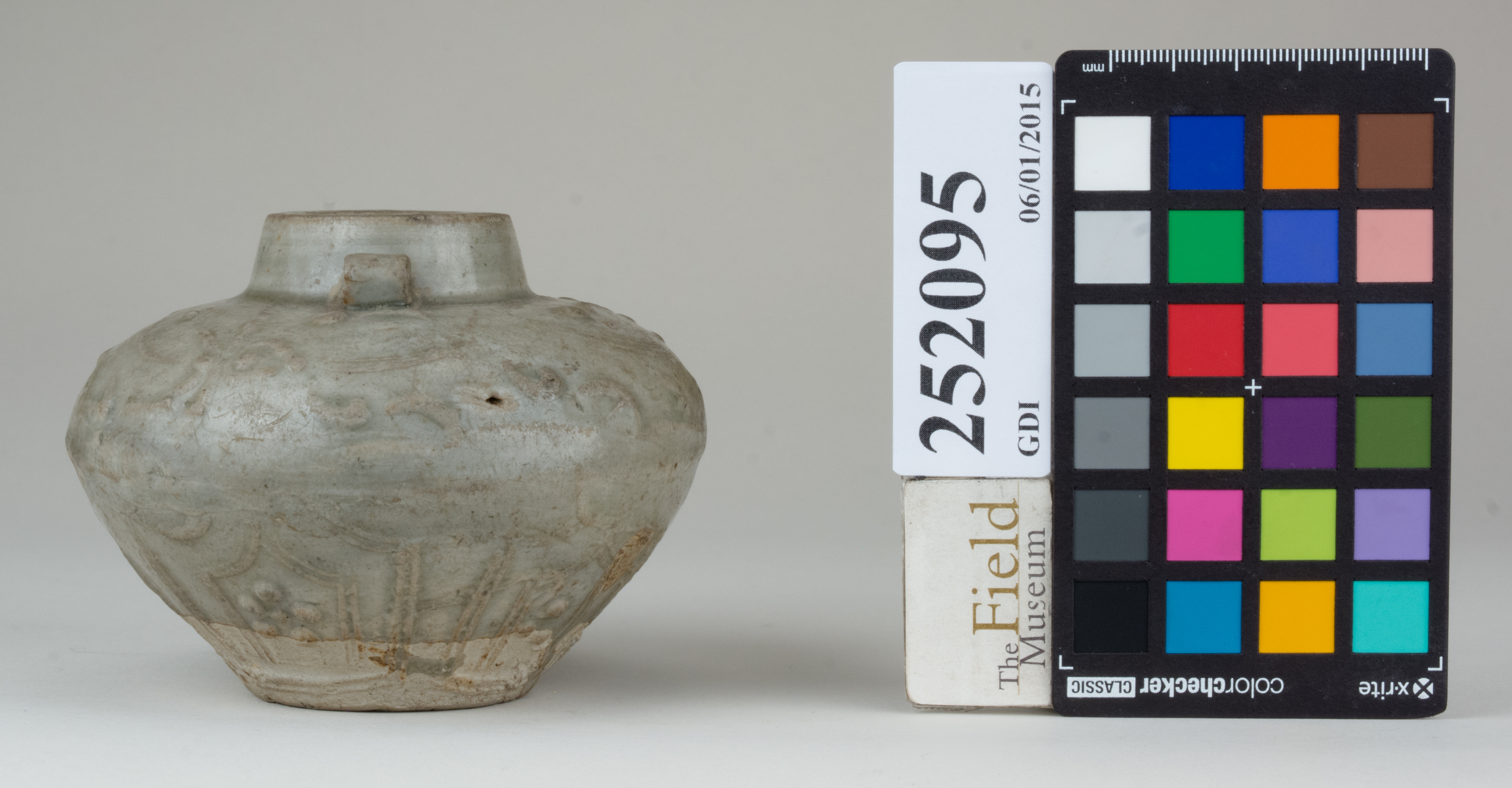 Right (c) Field Museum of Natural History - CC BY-NC 4.0