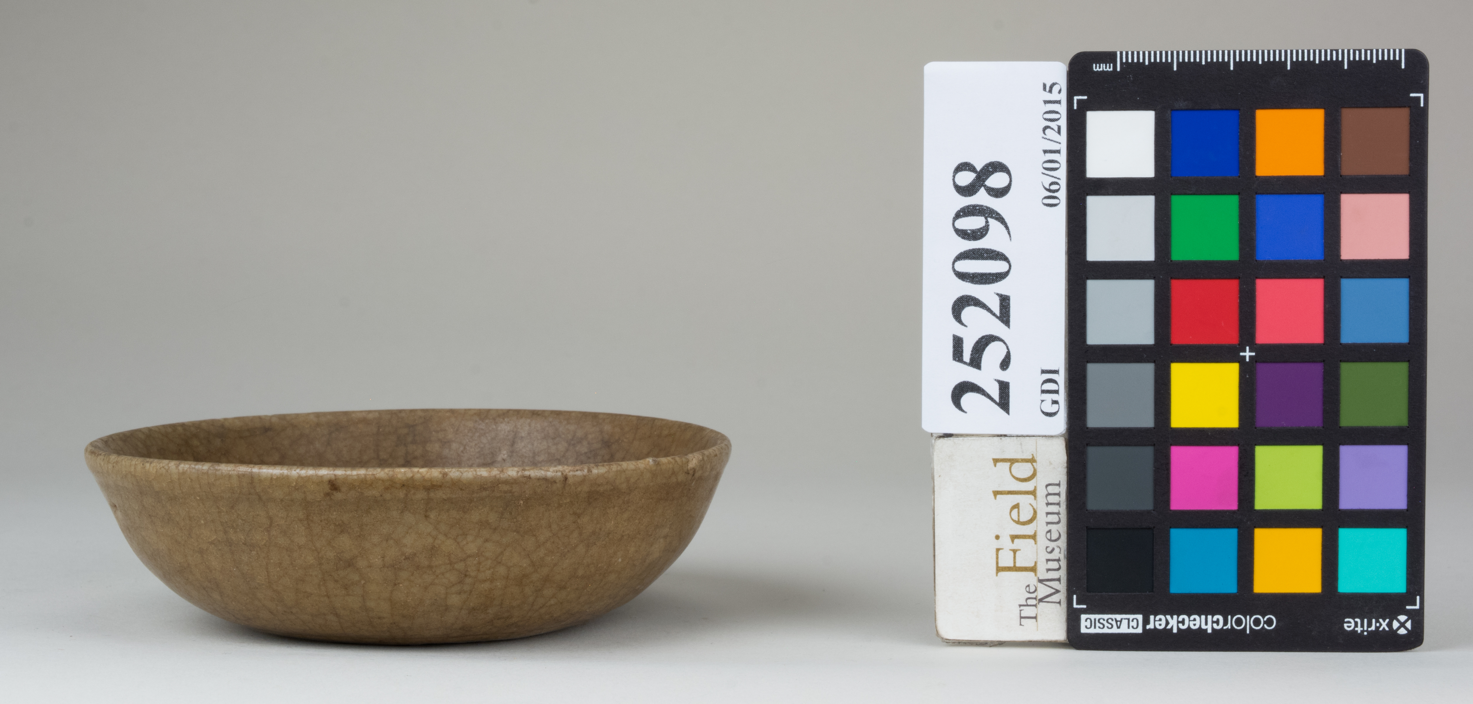 reference image, back (c) Field Museum of Natural History - CC BY-NC 4.0