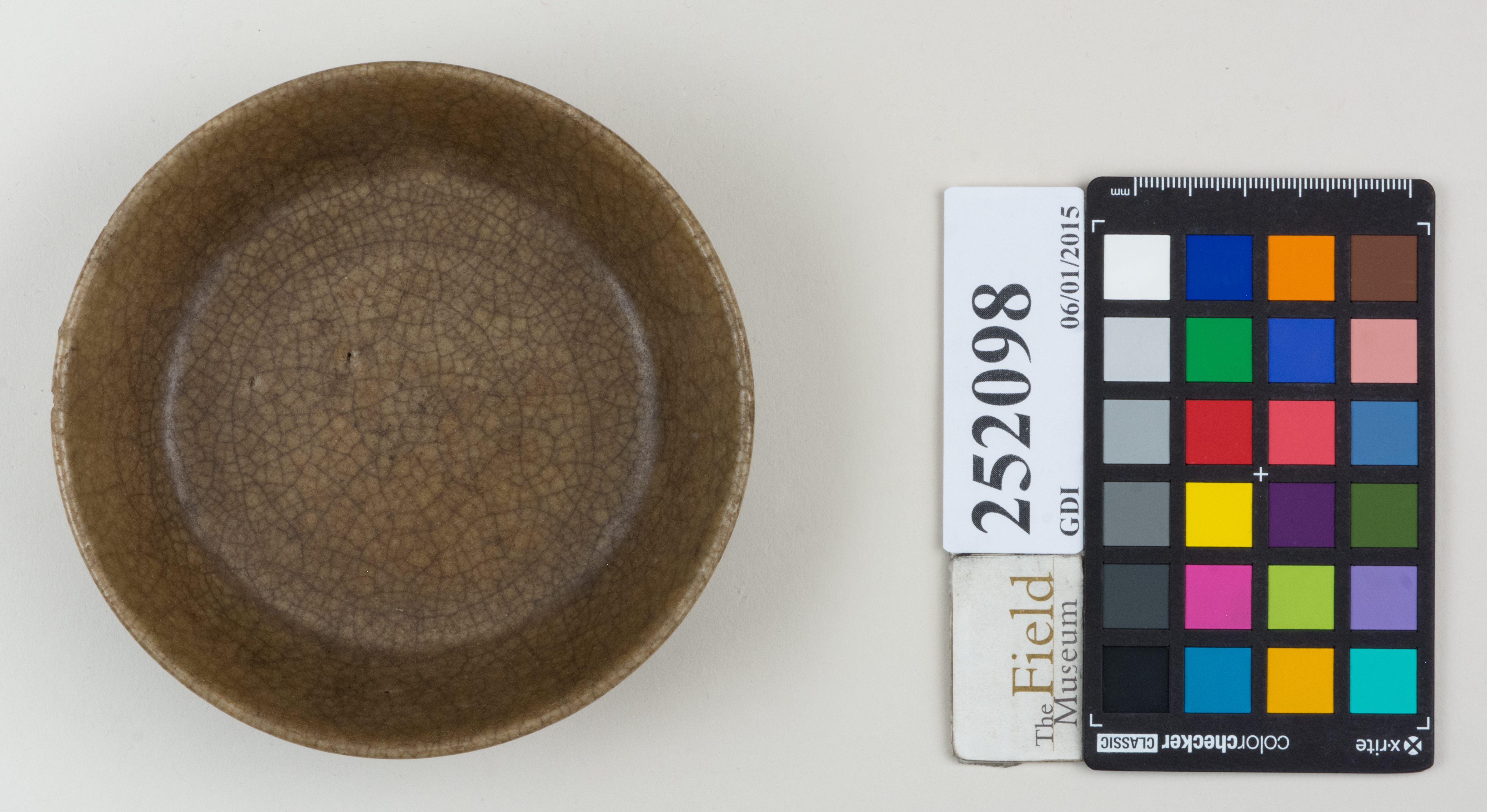 Top (c) Field Museum of Natural History - CC BY-NC 4.0