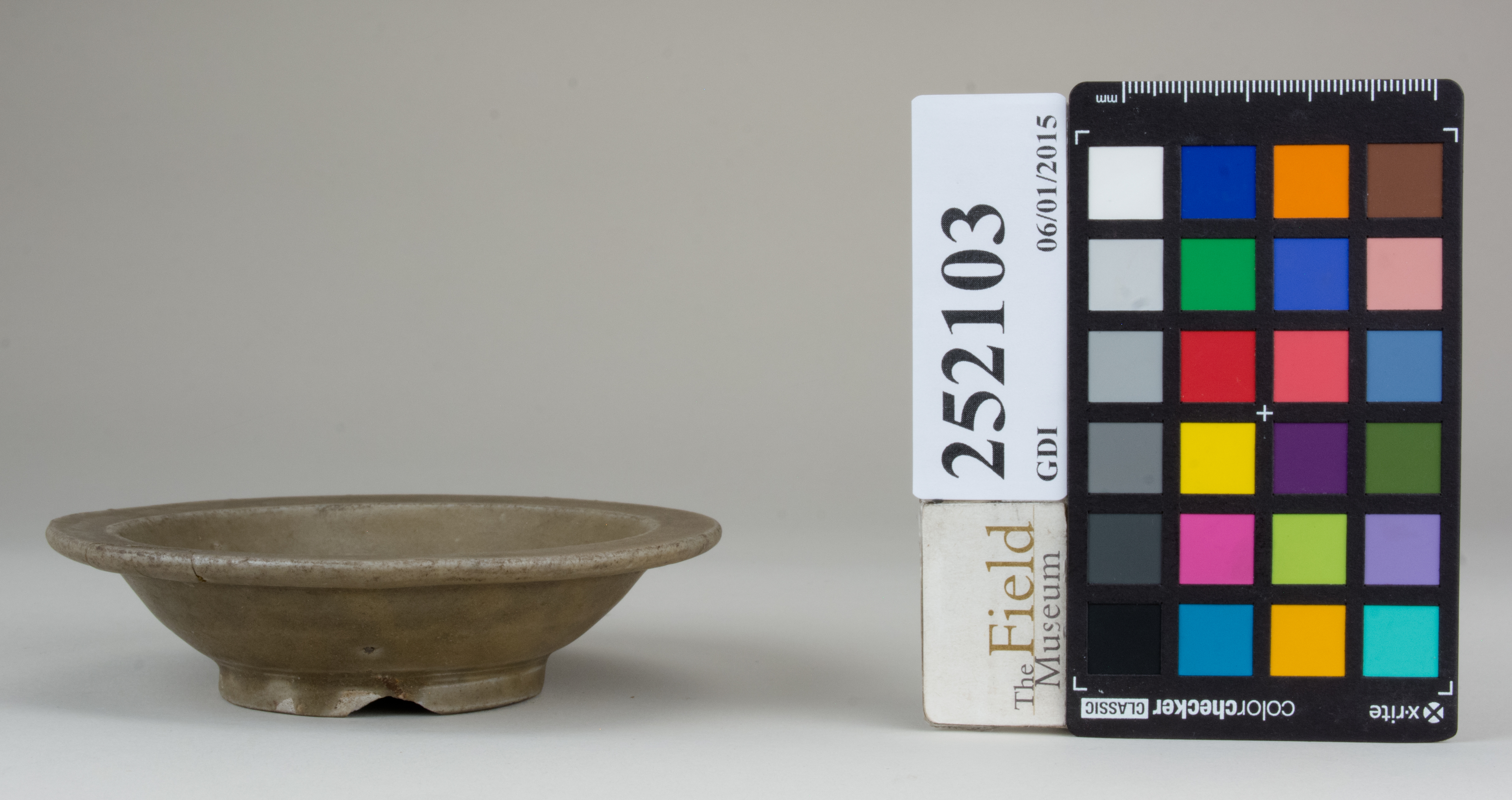 reference image, back (c) Field Museum of Natural History - CC BY-NC 4.0