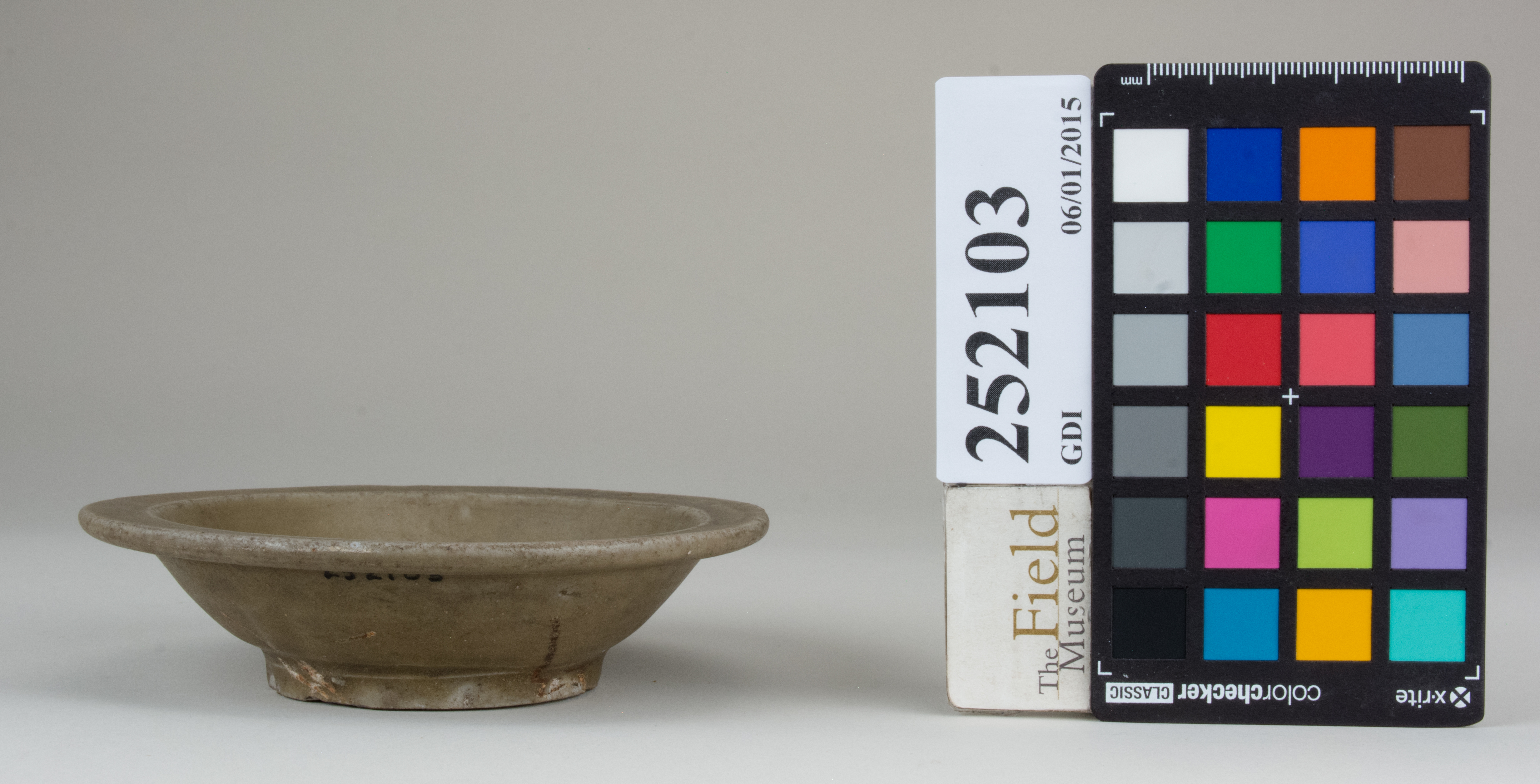 Front (c) Field Museum of Natural History - CC BY-NC 4.0