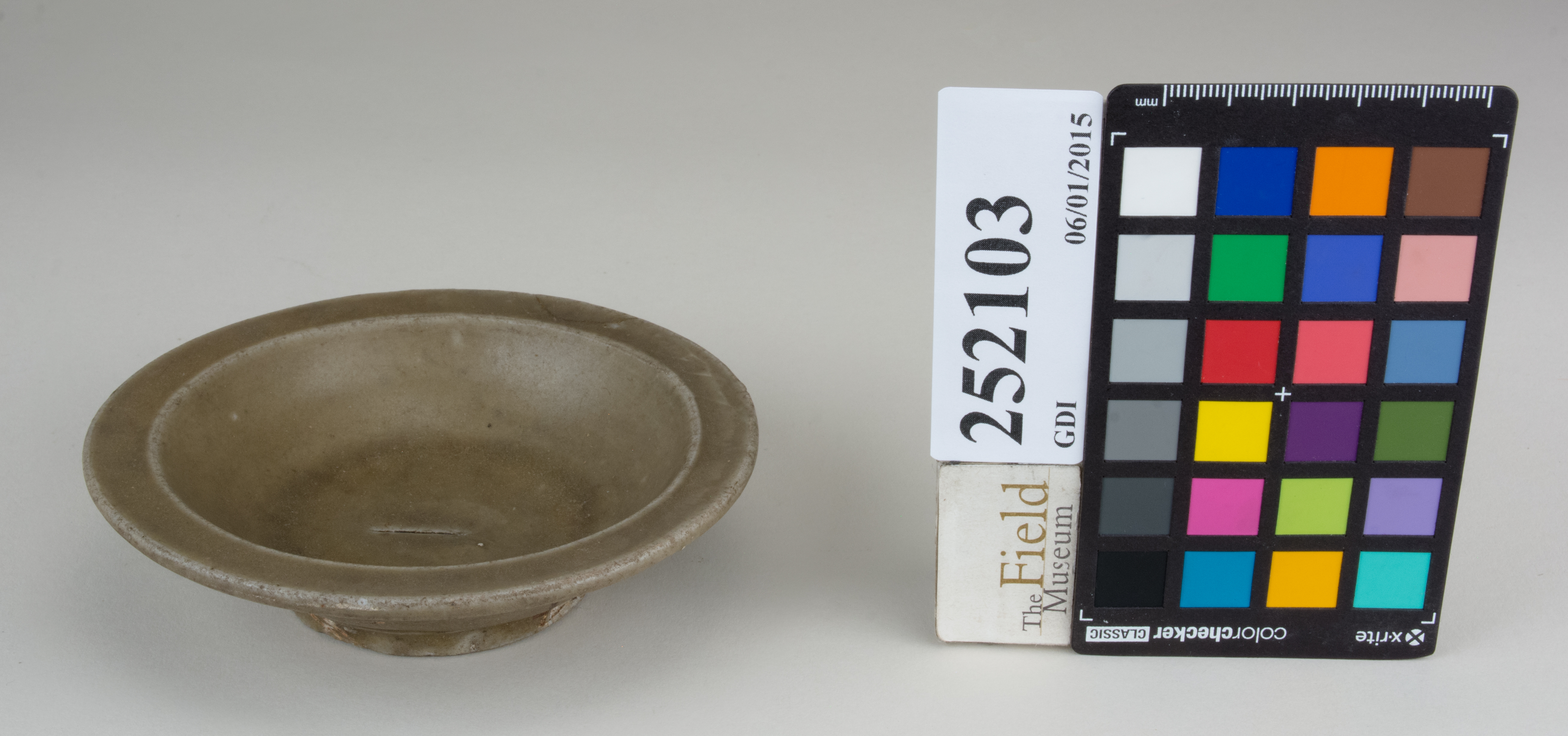 FrontAngle (c) Field Museum of Natural History - CC BY-NC 4.0