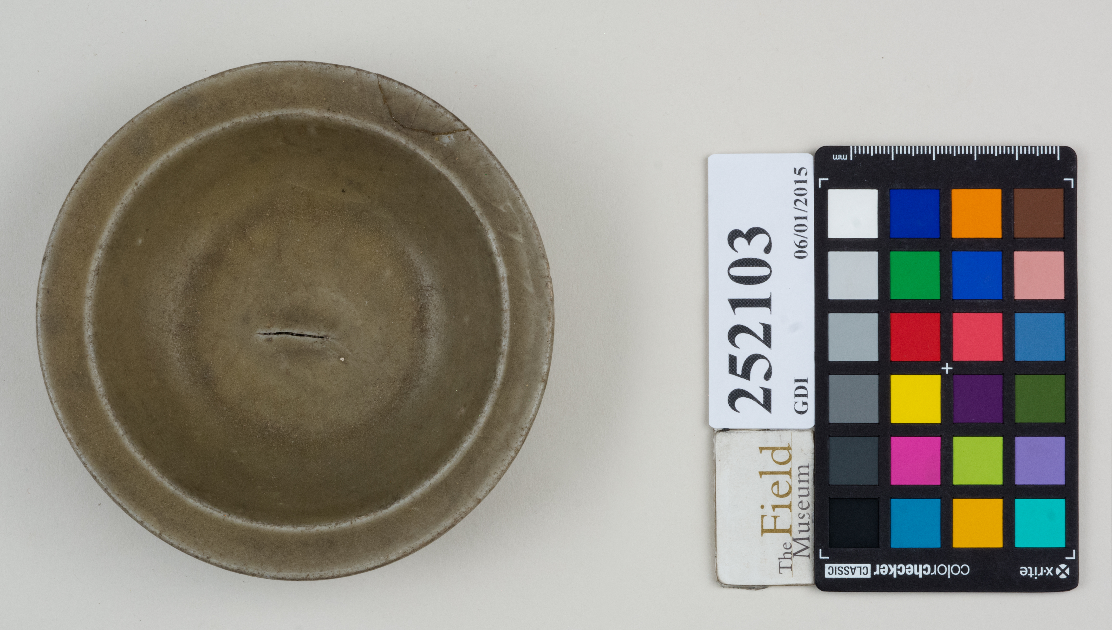 Top (c) Field Museum of Natural History - CC BY-NC 4.0