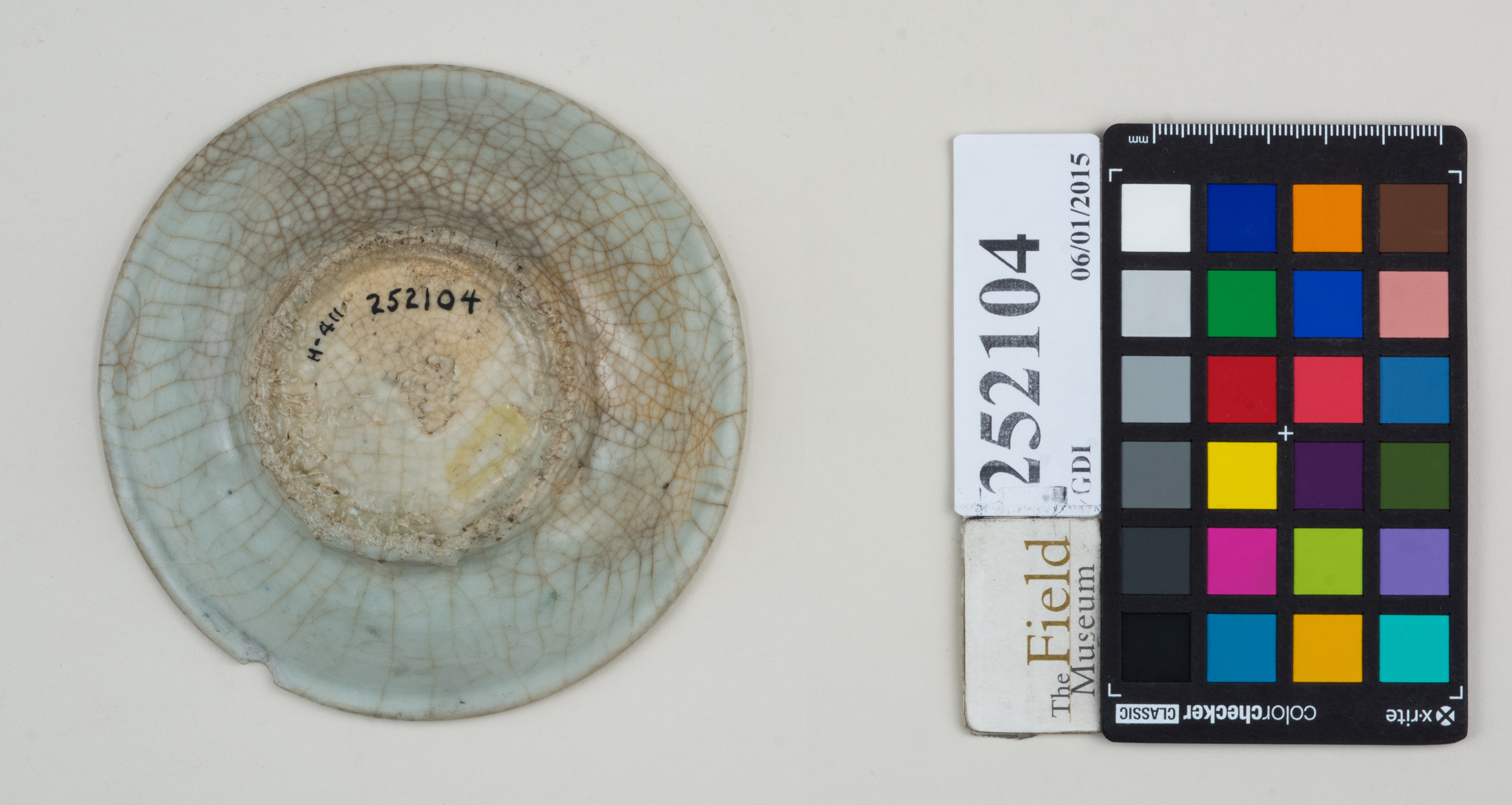 Bottom (c) Field Museum of Natural History - CC BY-NC 4.0