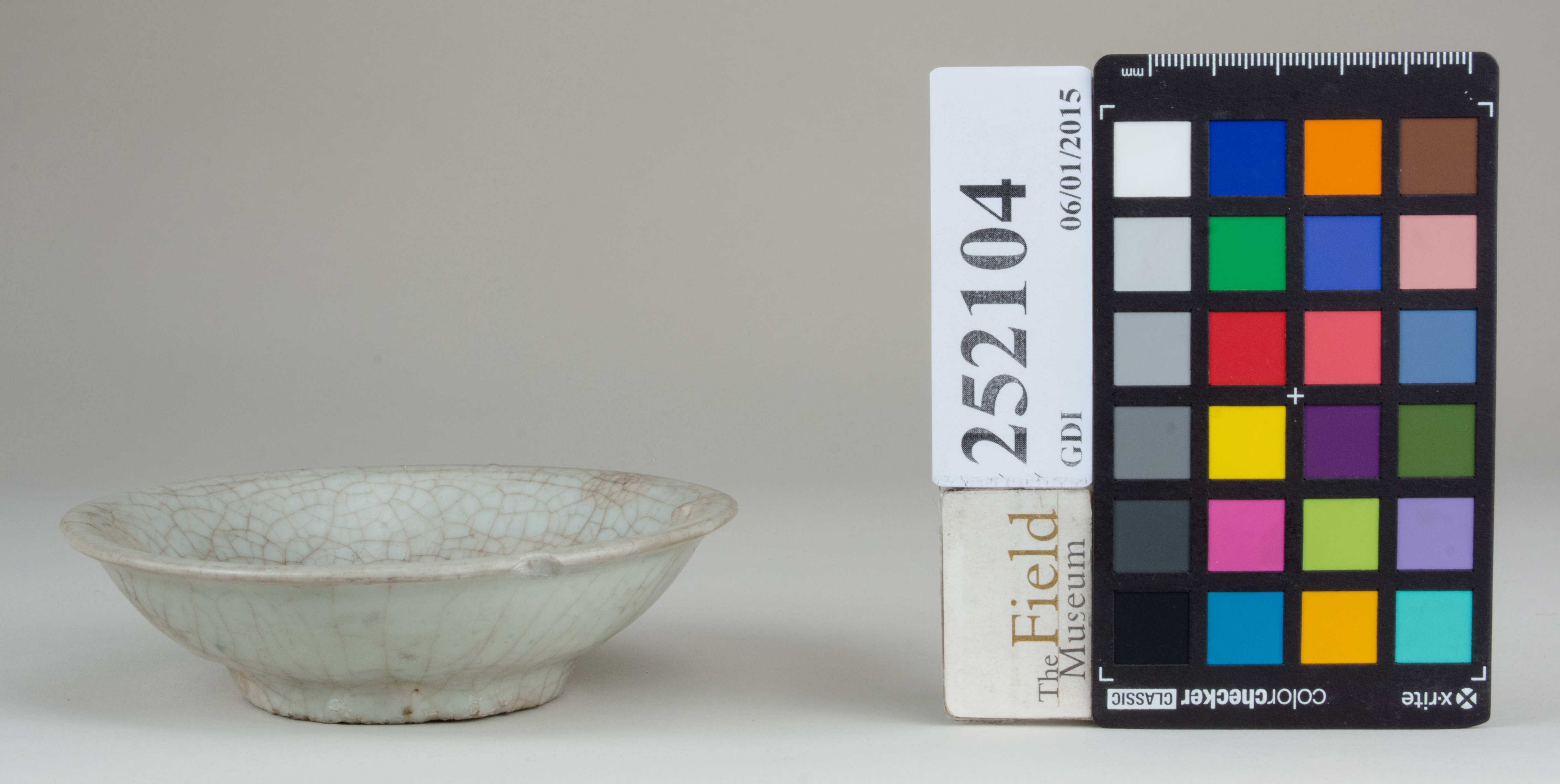 Front (c) Field Museum of Natural History - CC BY-NC 4.0