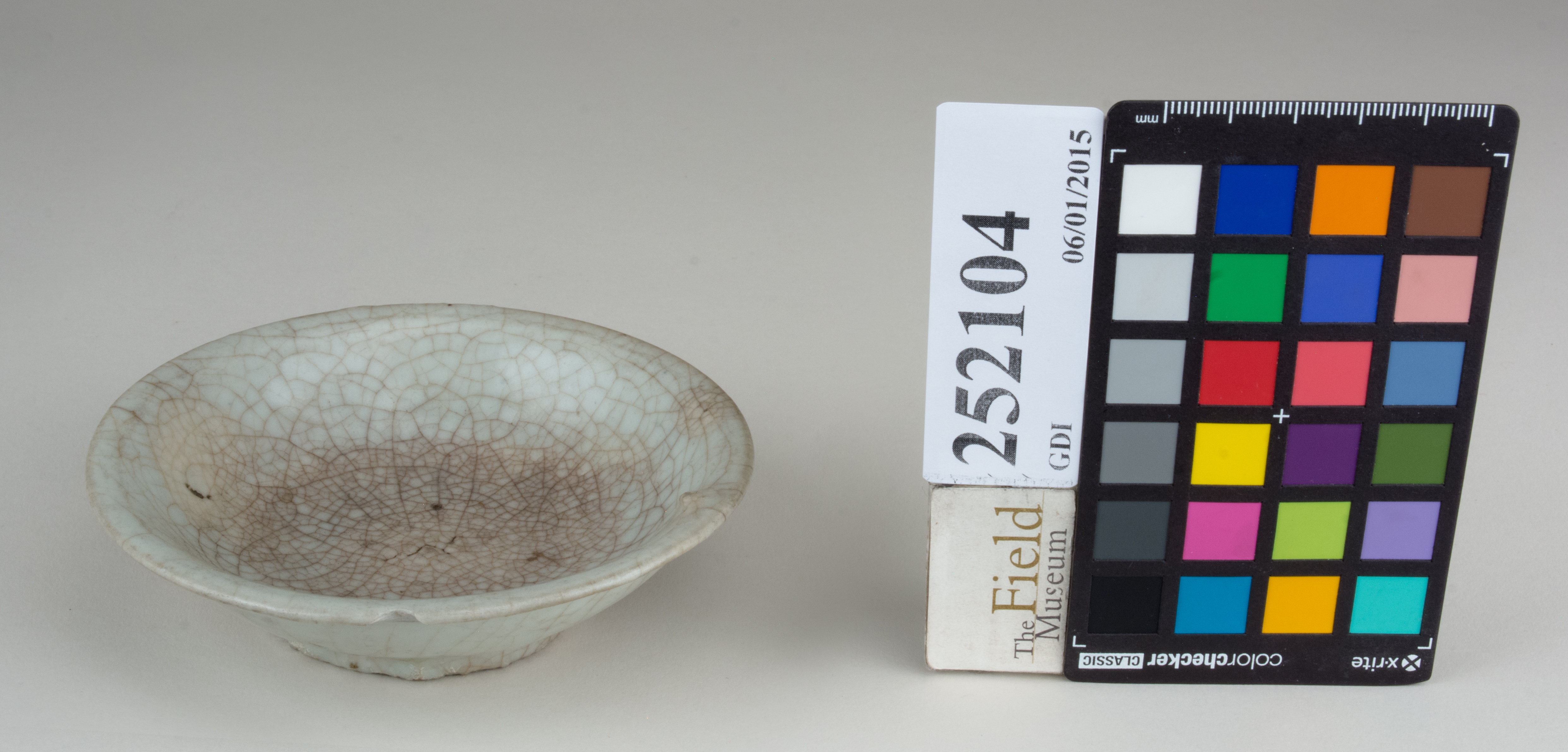 FrontAngle (c) Field Museum of Natural History - CC BY-NC 4.0