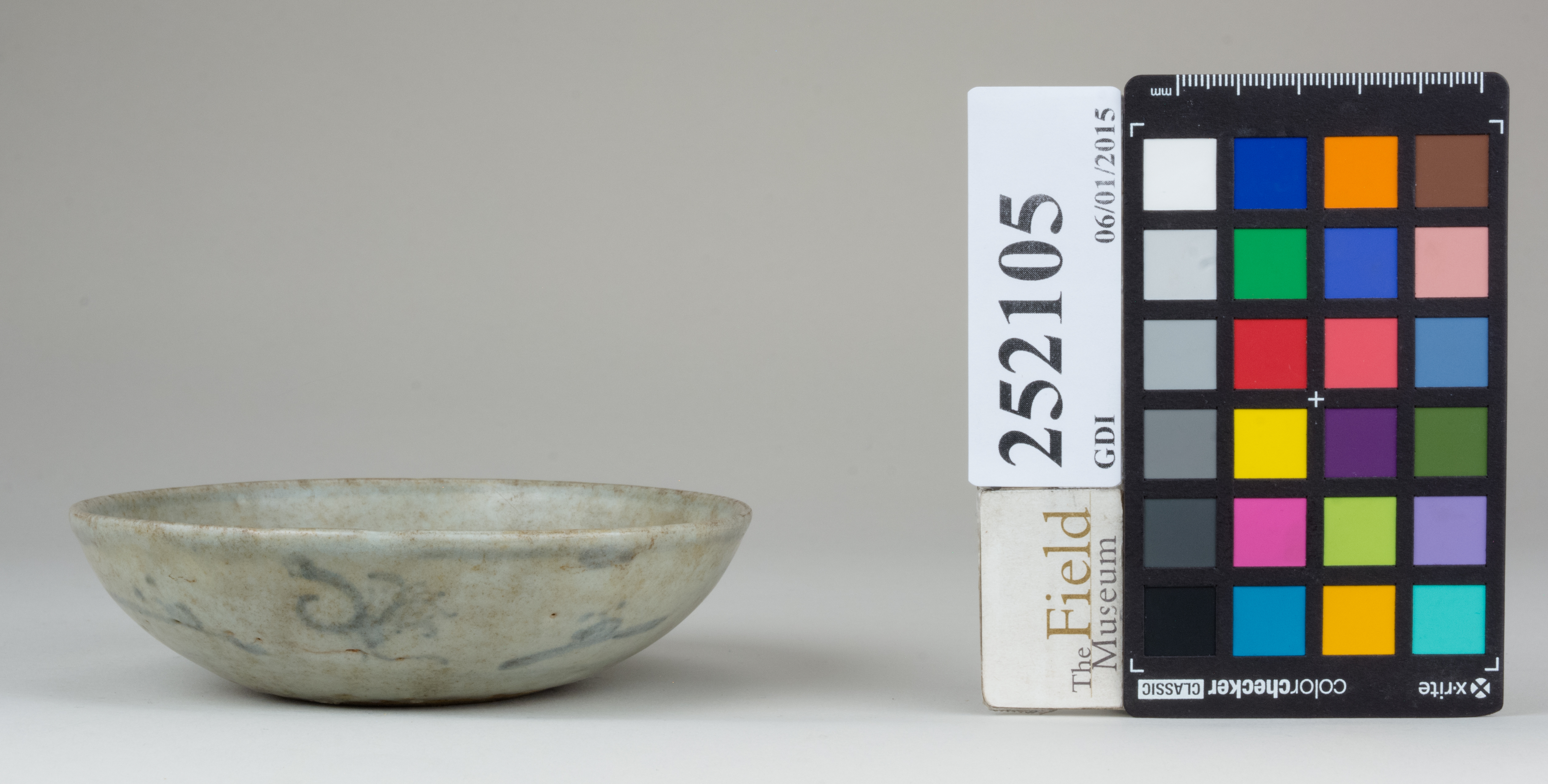 reference image, back (c) Field Museum of Natural History - CC BY-NC 4.0