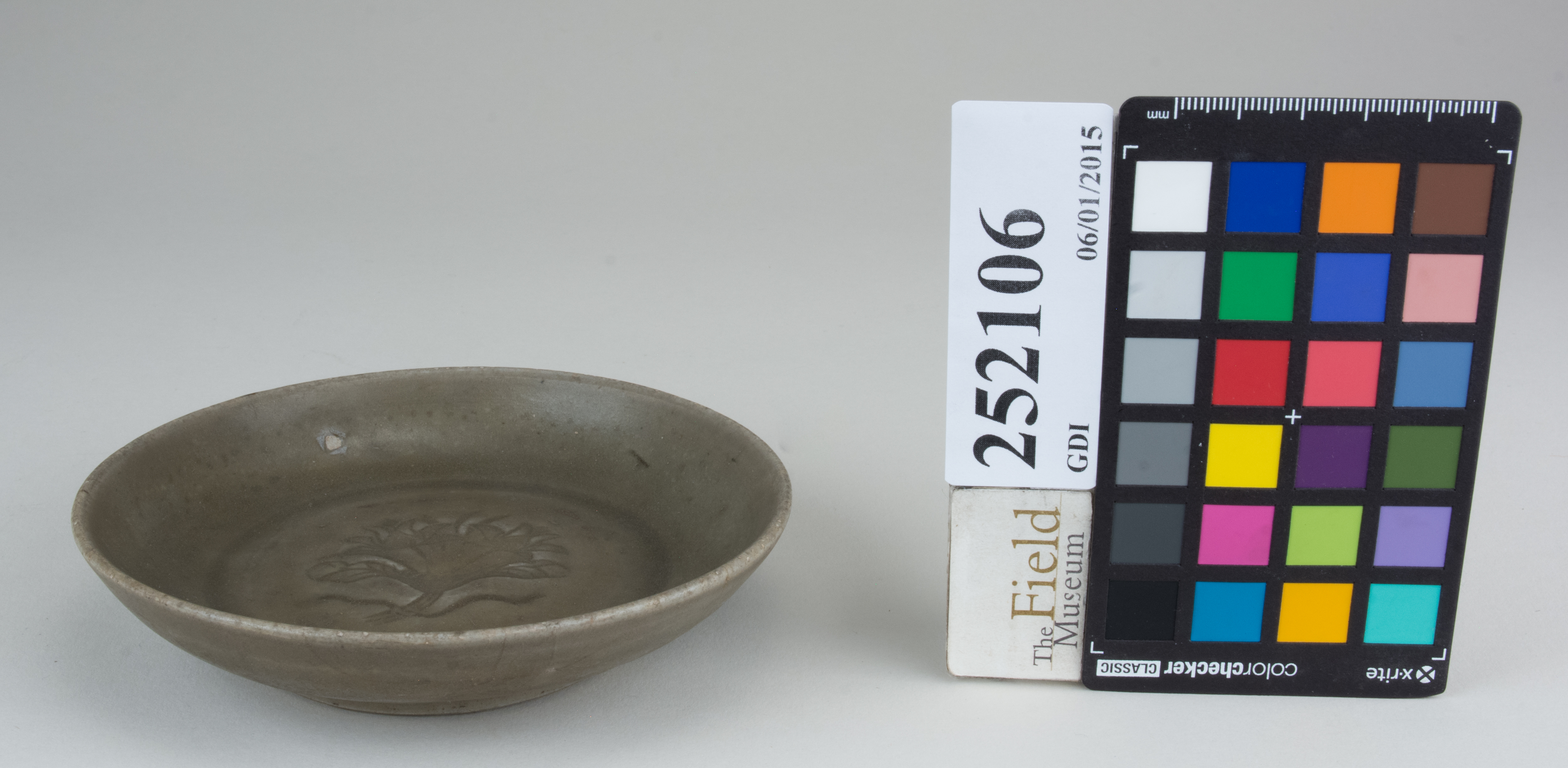 FrontAngle (c) Field Museum of Natural History - CC BY-NC 4.0