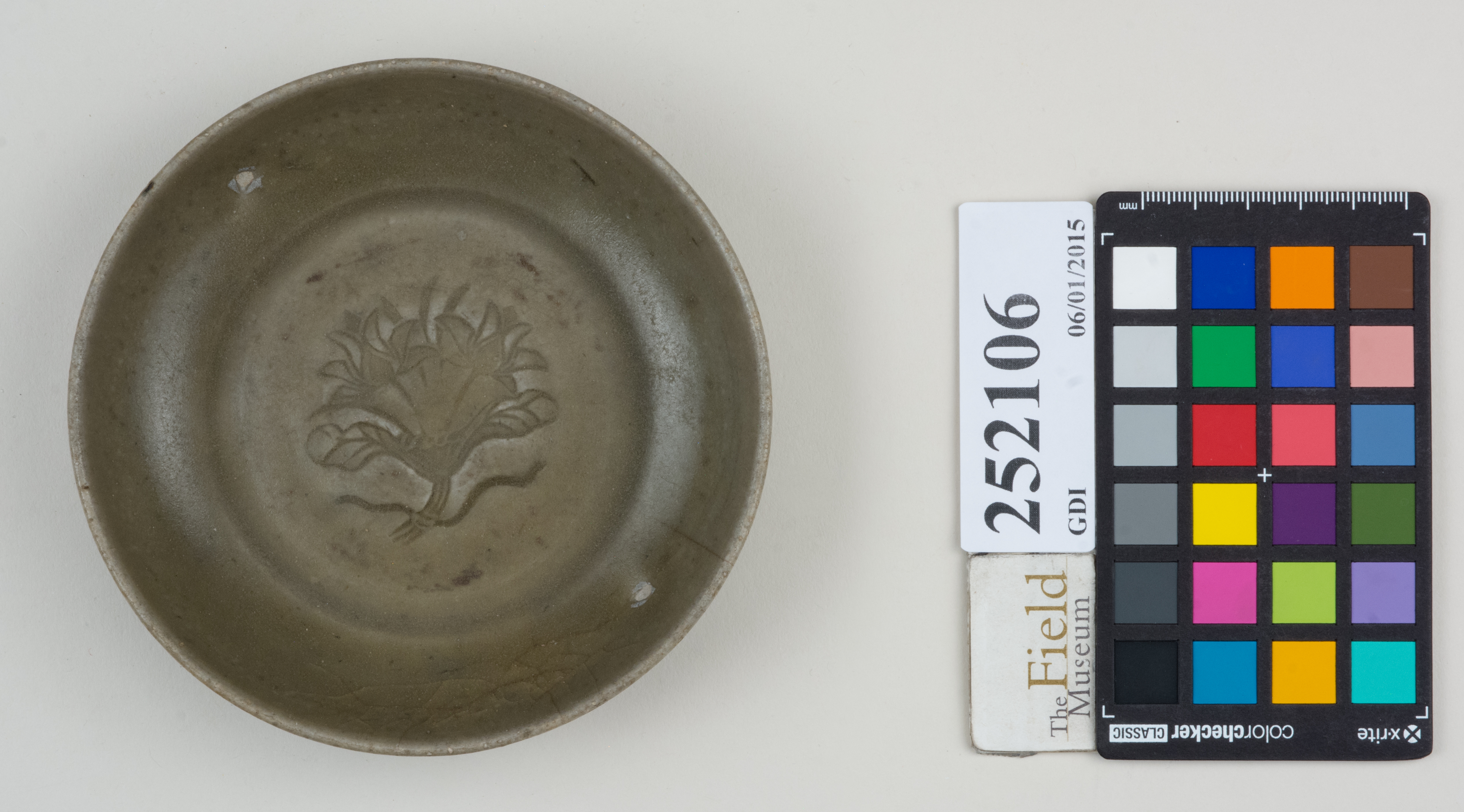 Top (c) Field Museum of Natural History - CC BY-NC 4.0