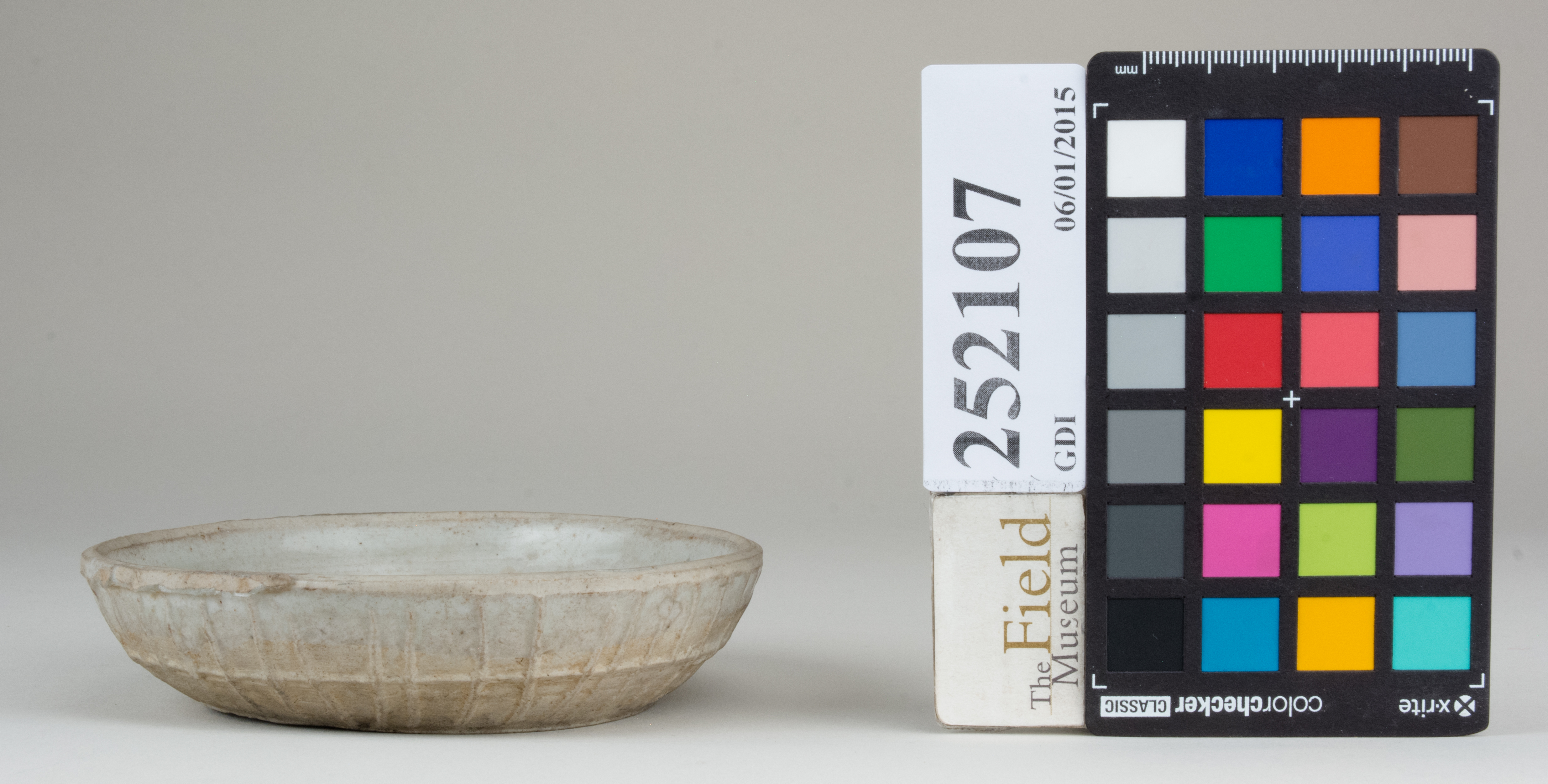 reference image, back (c) Field Museum of Natural History - CC BY-NC 4.0