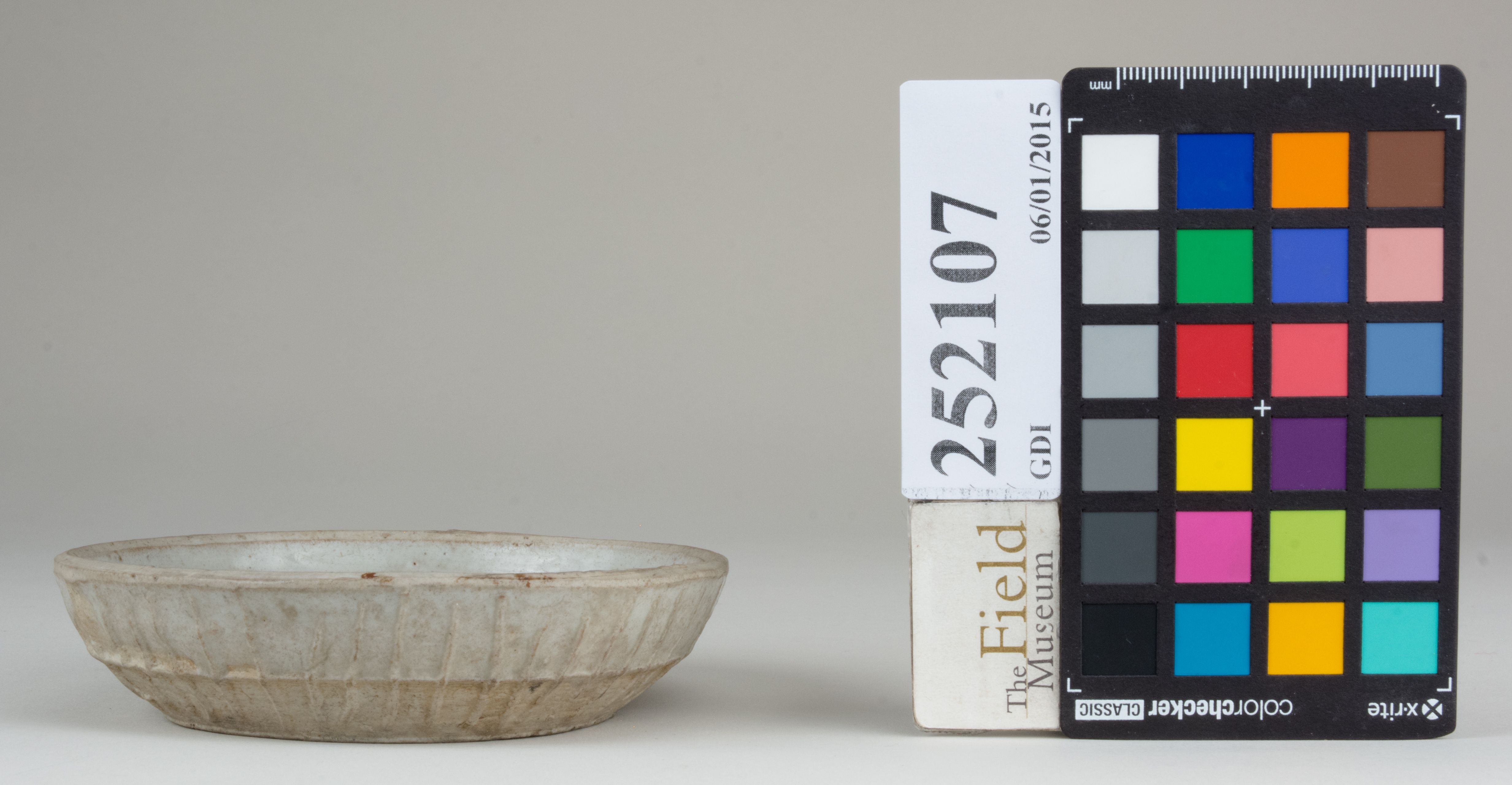 Front (c) Field Museum of Natural History - CC BY-NC 4.0