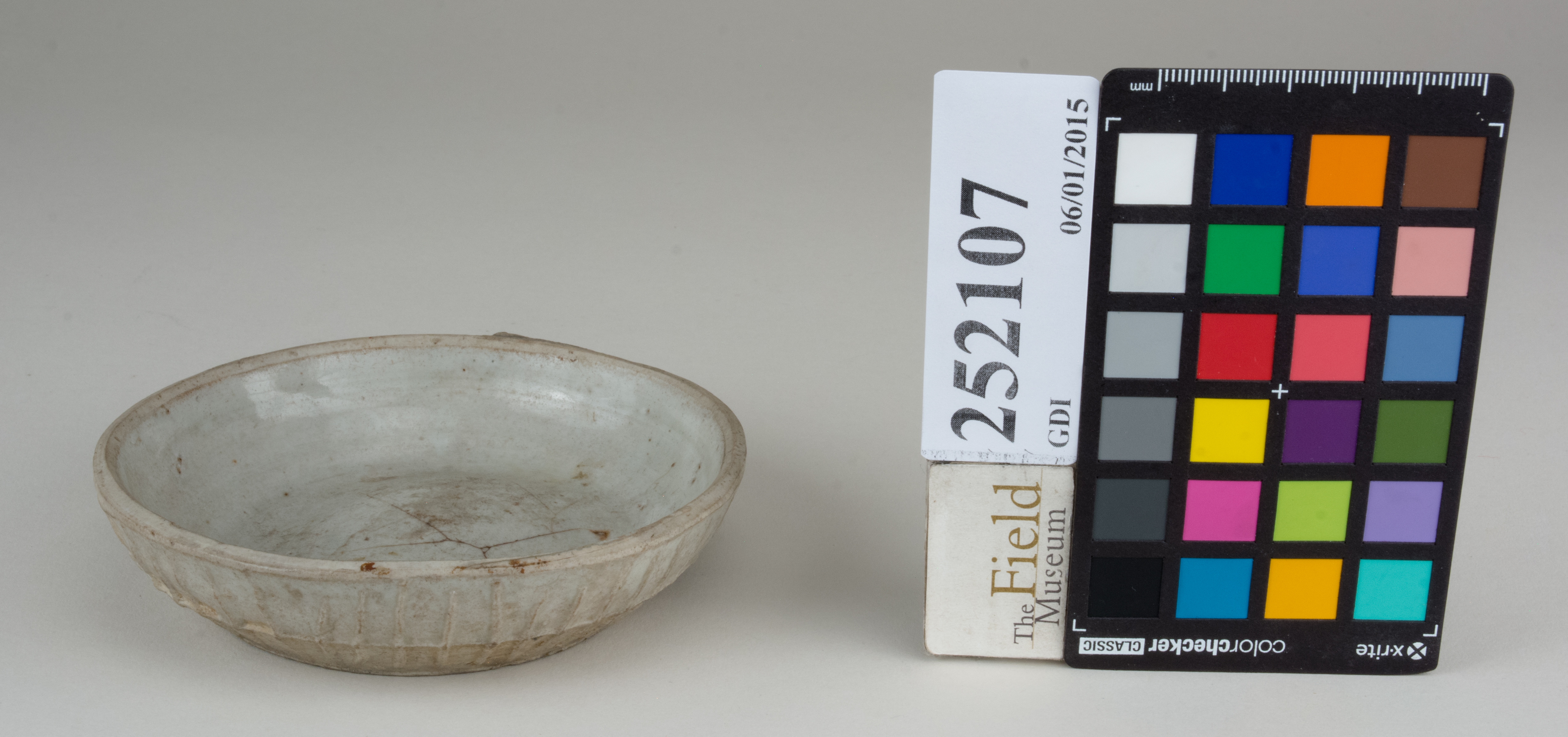 FrontAngle (c) Field Museum of Natural History - CC BY-NC 4.0