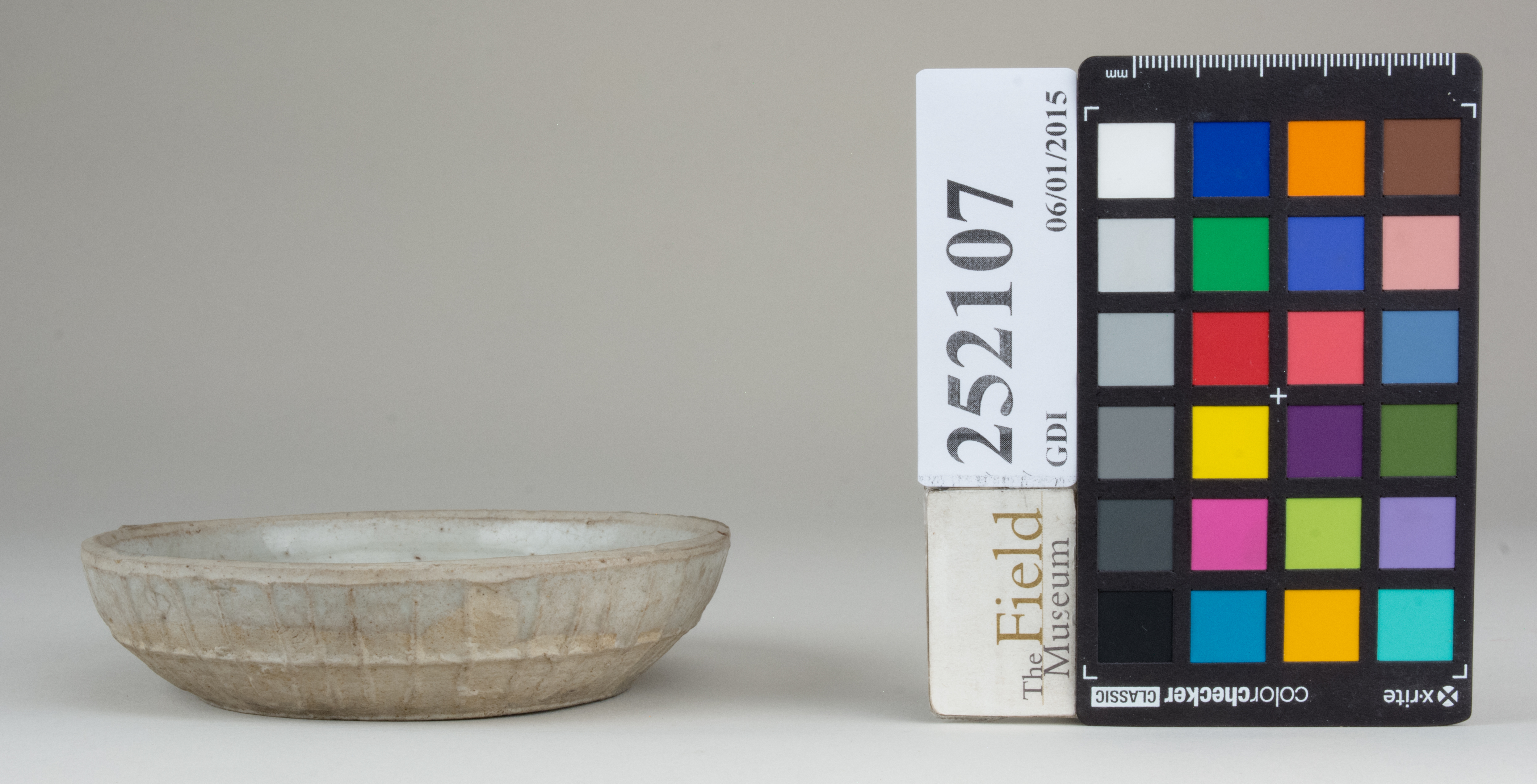 Right (c) Field Museum of Natural History - CC BY-NC 4.0