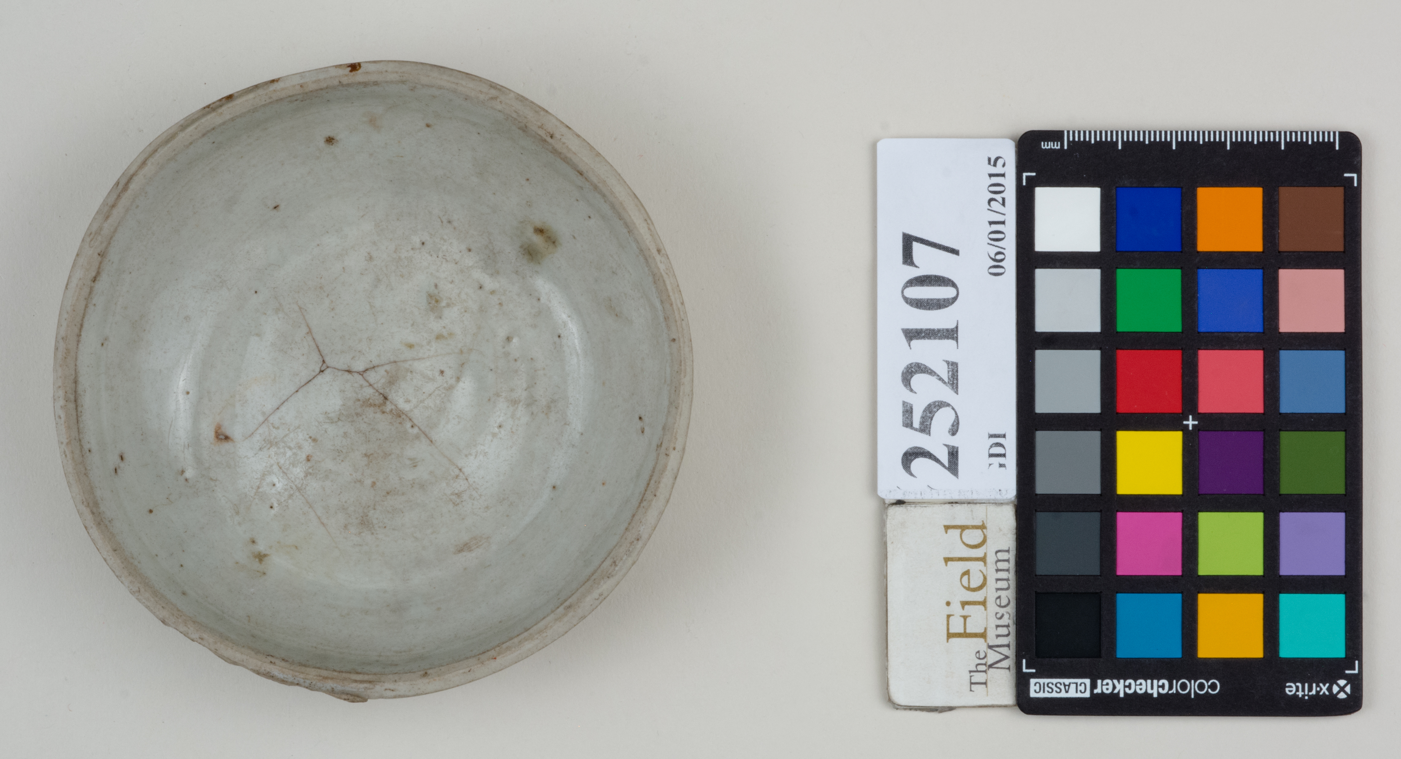 Top (c) Field Museum of Natural History - CC BY-NC 4.0