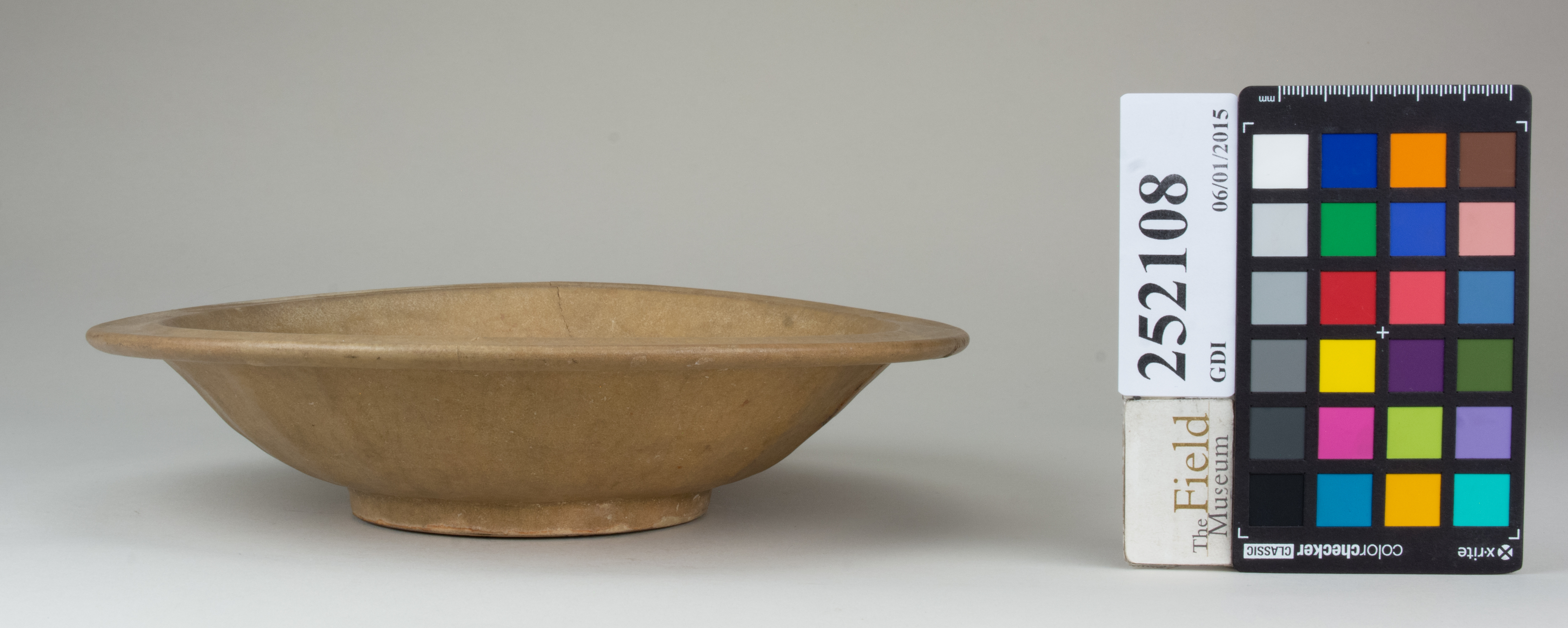 reference image, back (c) Field Museum of Natural History - CC BY-NC 4.0