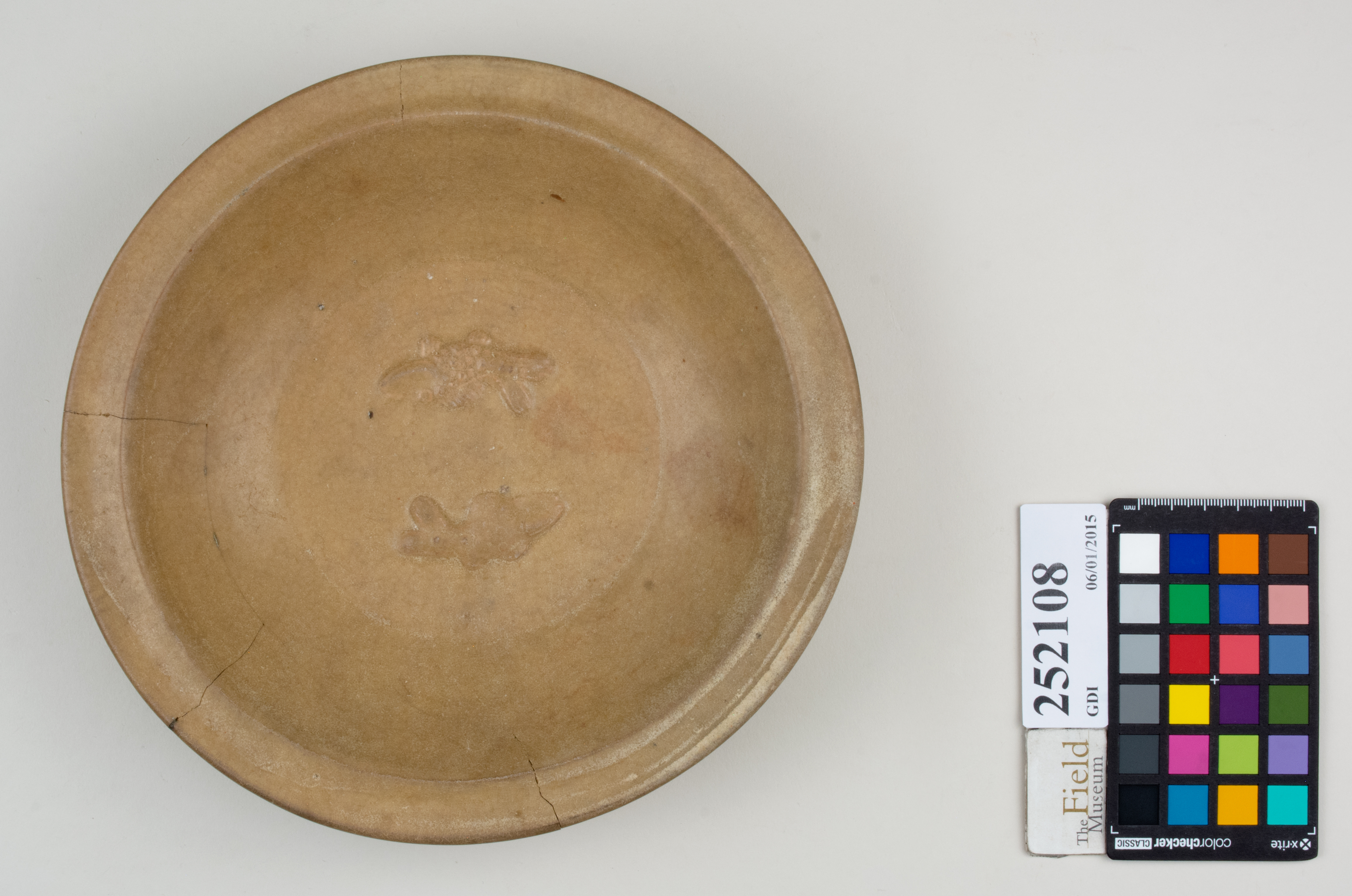 Top (c) Field Museum of Natural History - CC BY-NC 4.0