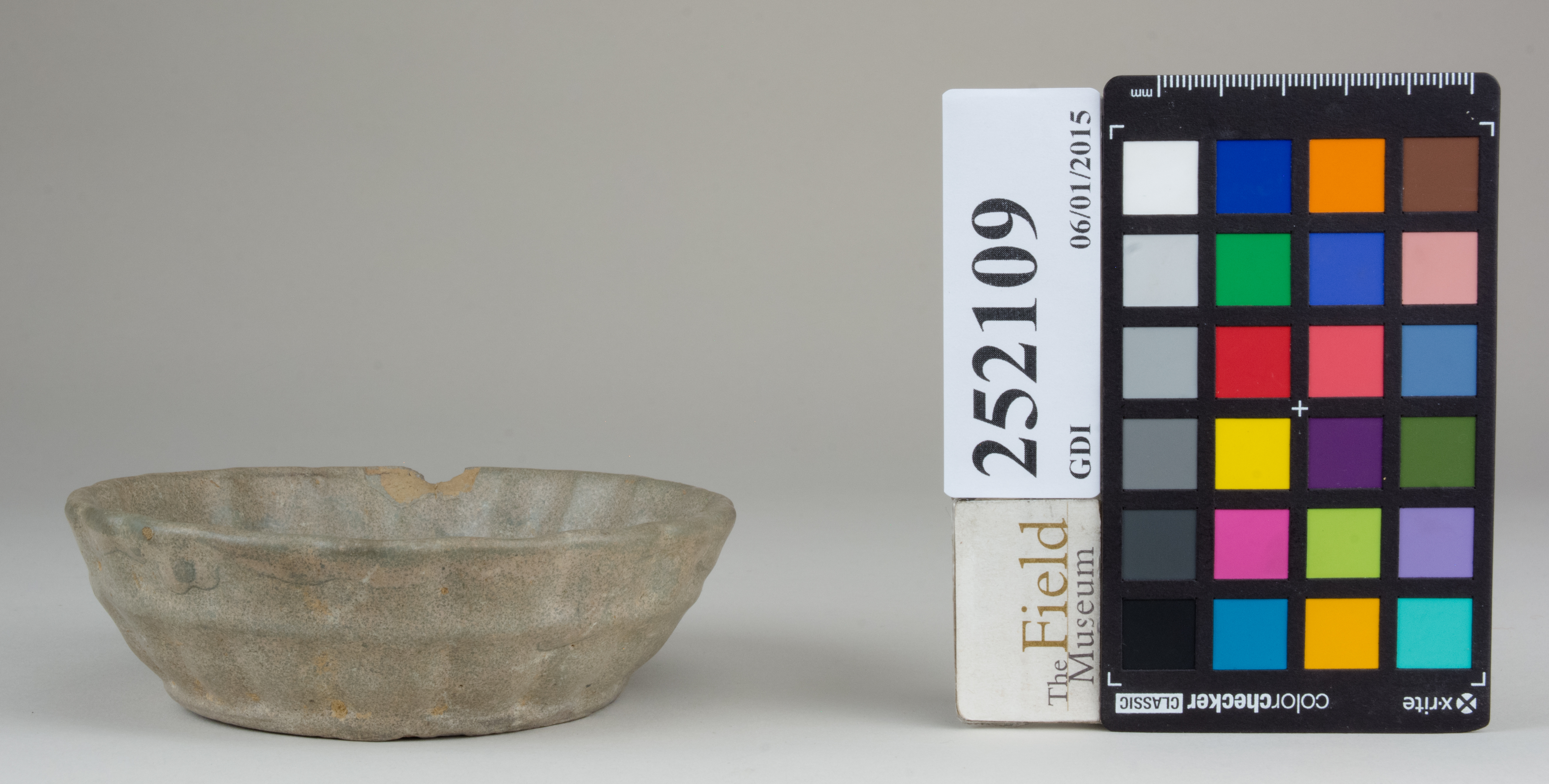 reference image, back (c) Field Museum of Natural History - CC BY-NC 4.0