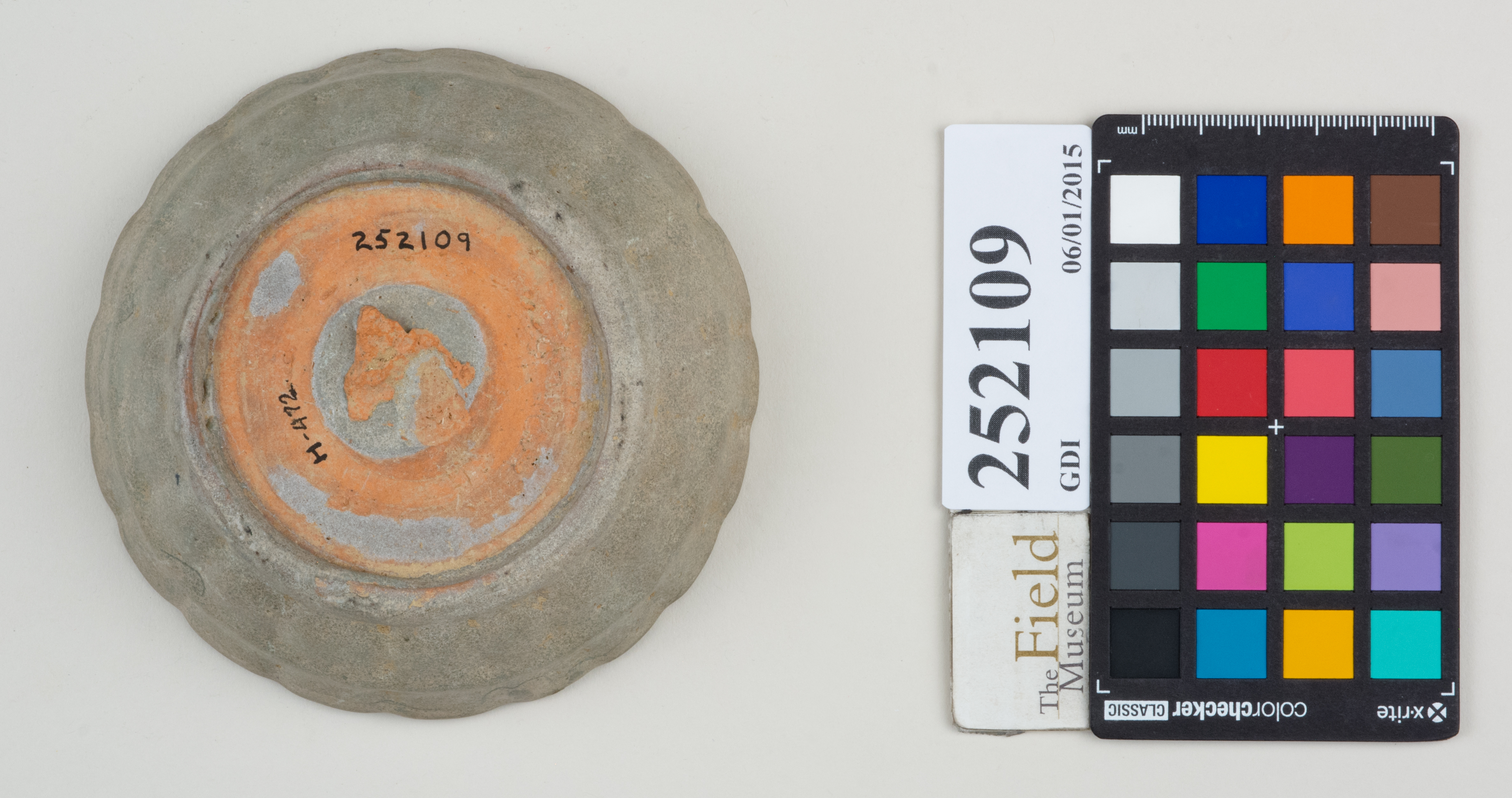 Bottom (c) Field Museum of Natural History - CC BY-NC 4.0