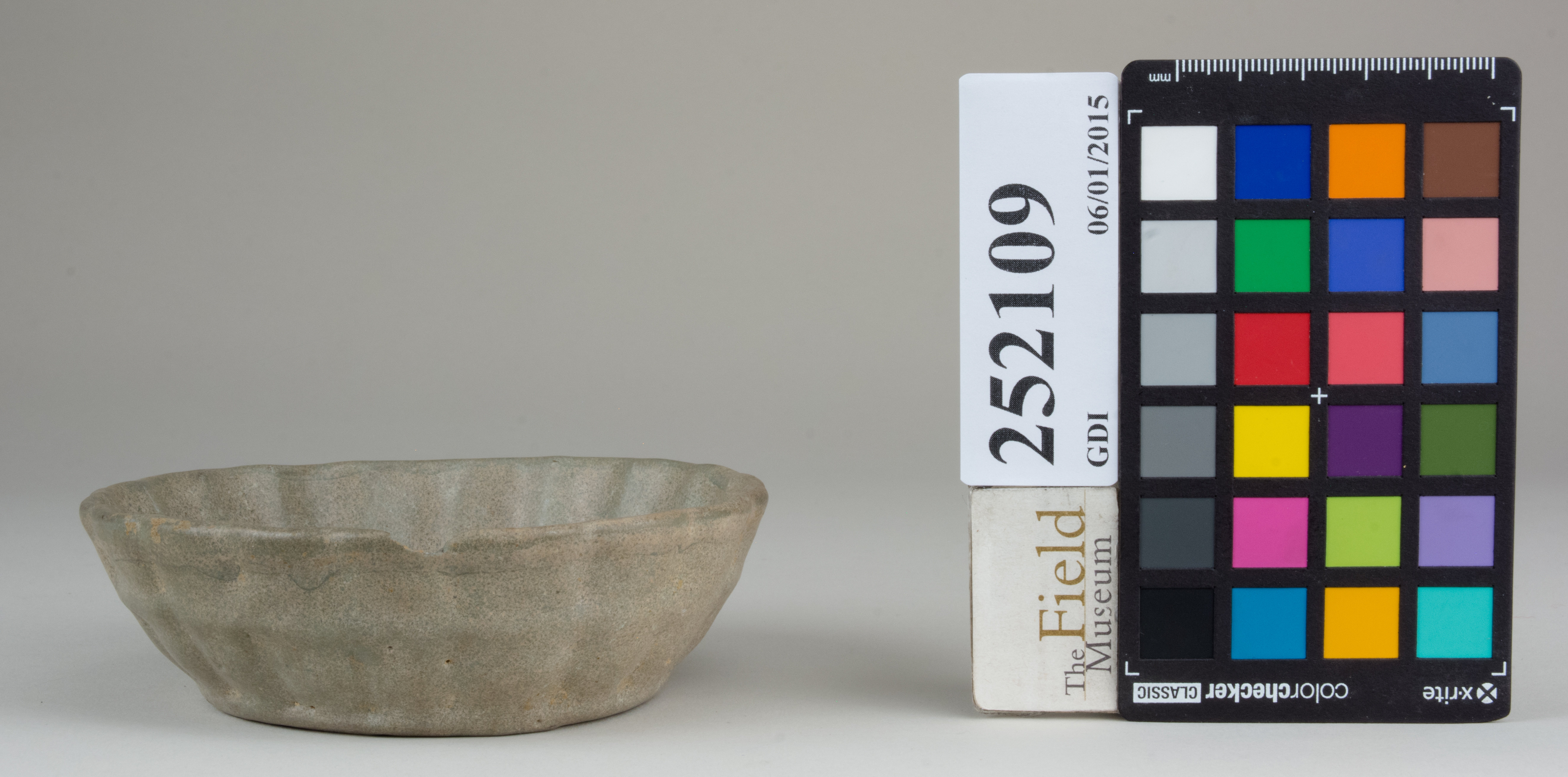 Front (c) Field Museum of Natural History - CC BY-NC 4.0