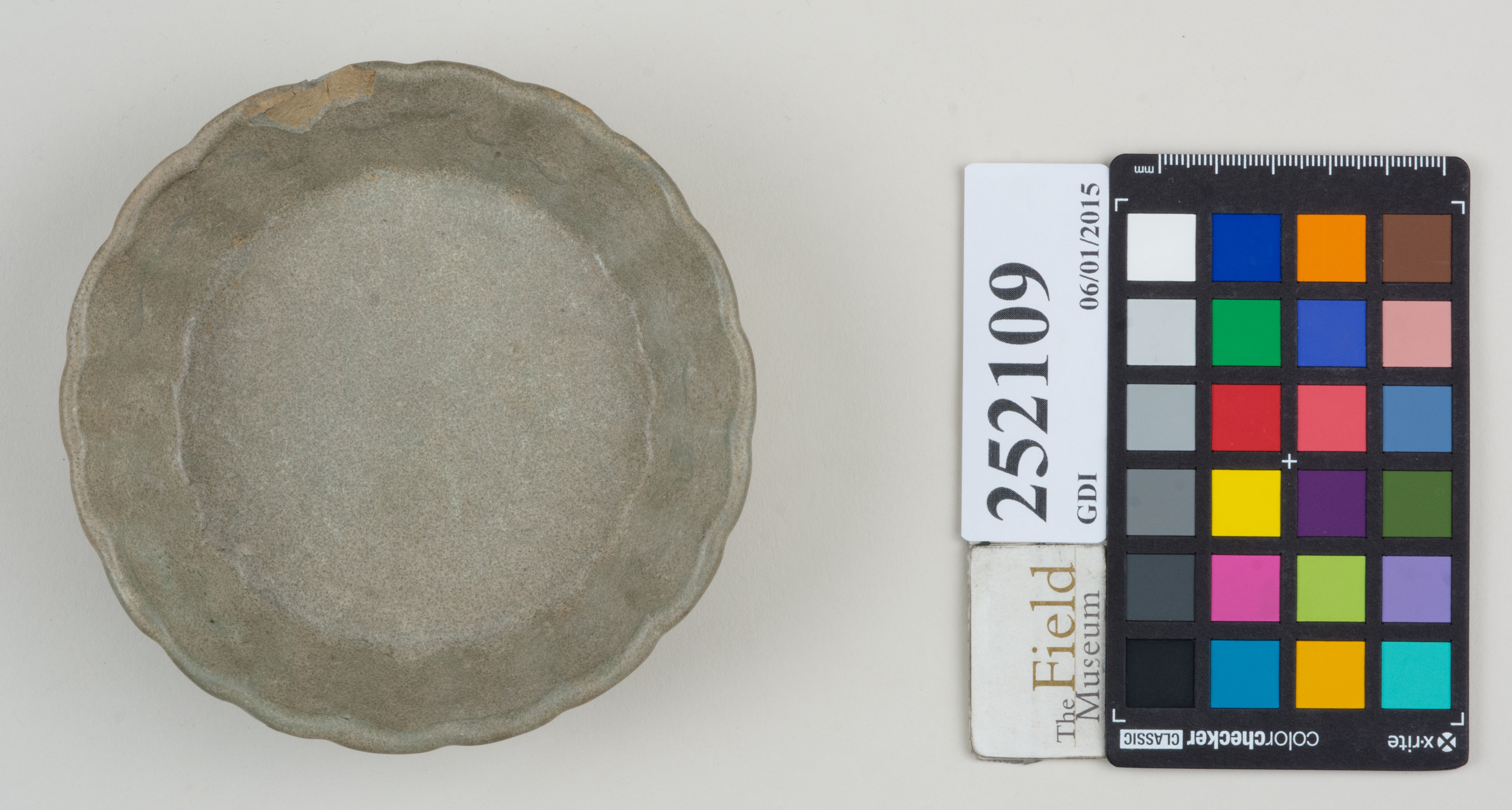 Top (c) Field Museum of Natural History - CC BY-NC 4.0