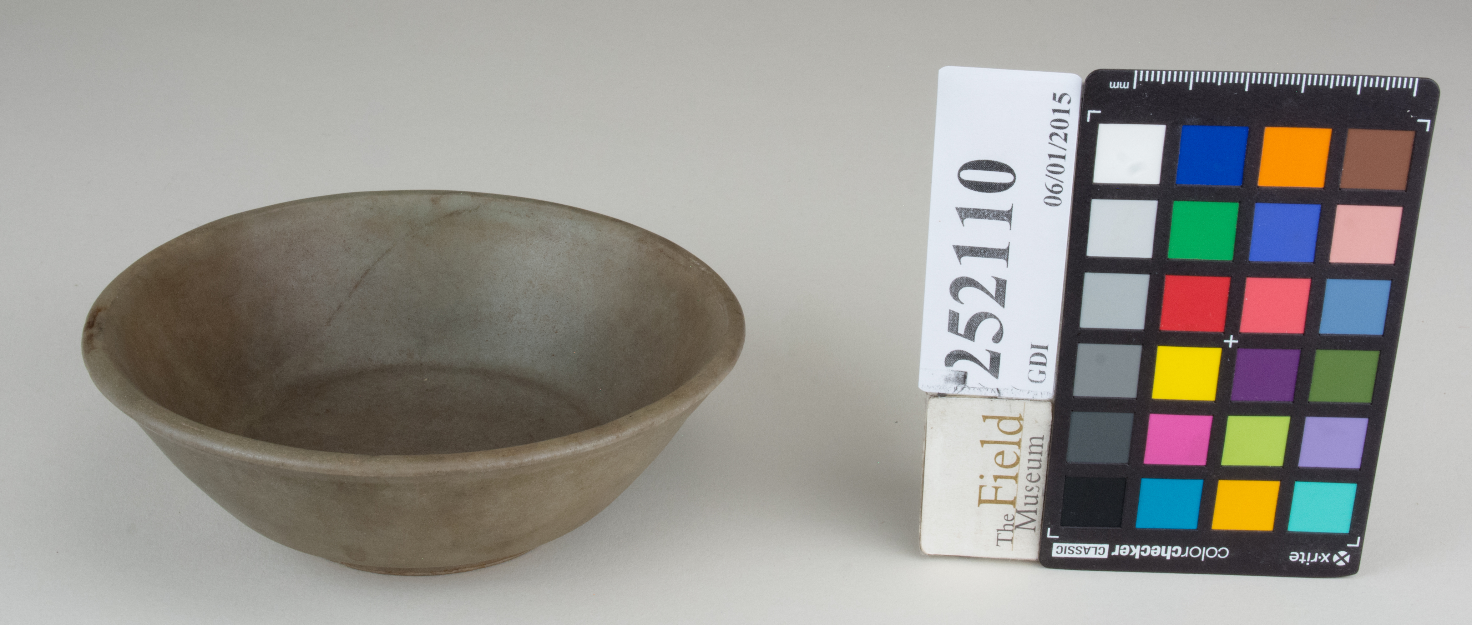 FrontAngle (c) Field Museum of Natural History - CC BY-NC 4.0